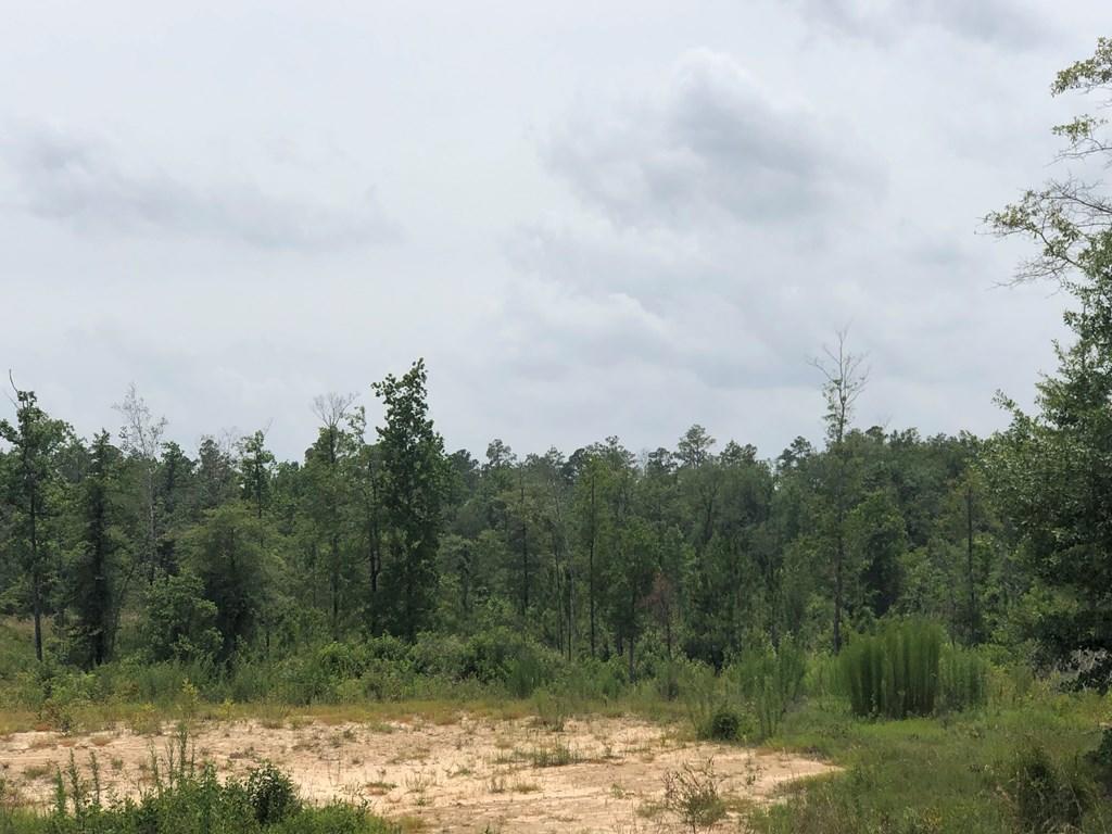 METES & BOUNDS - Farm