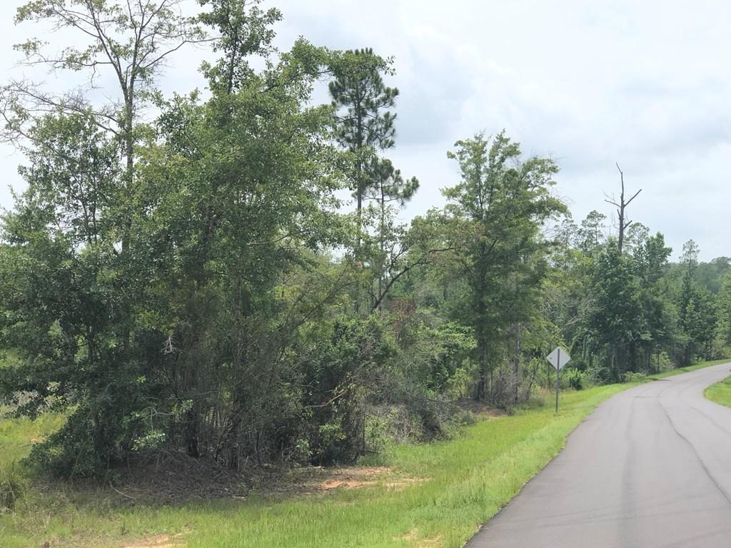 METES & BOUNDS - Farm