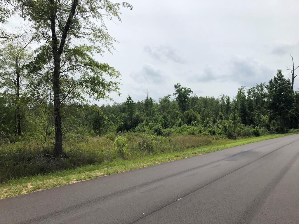 METES & BOUNDS - Farm