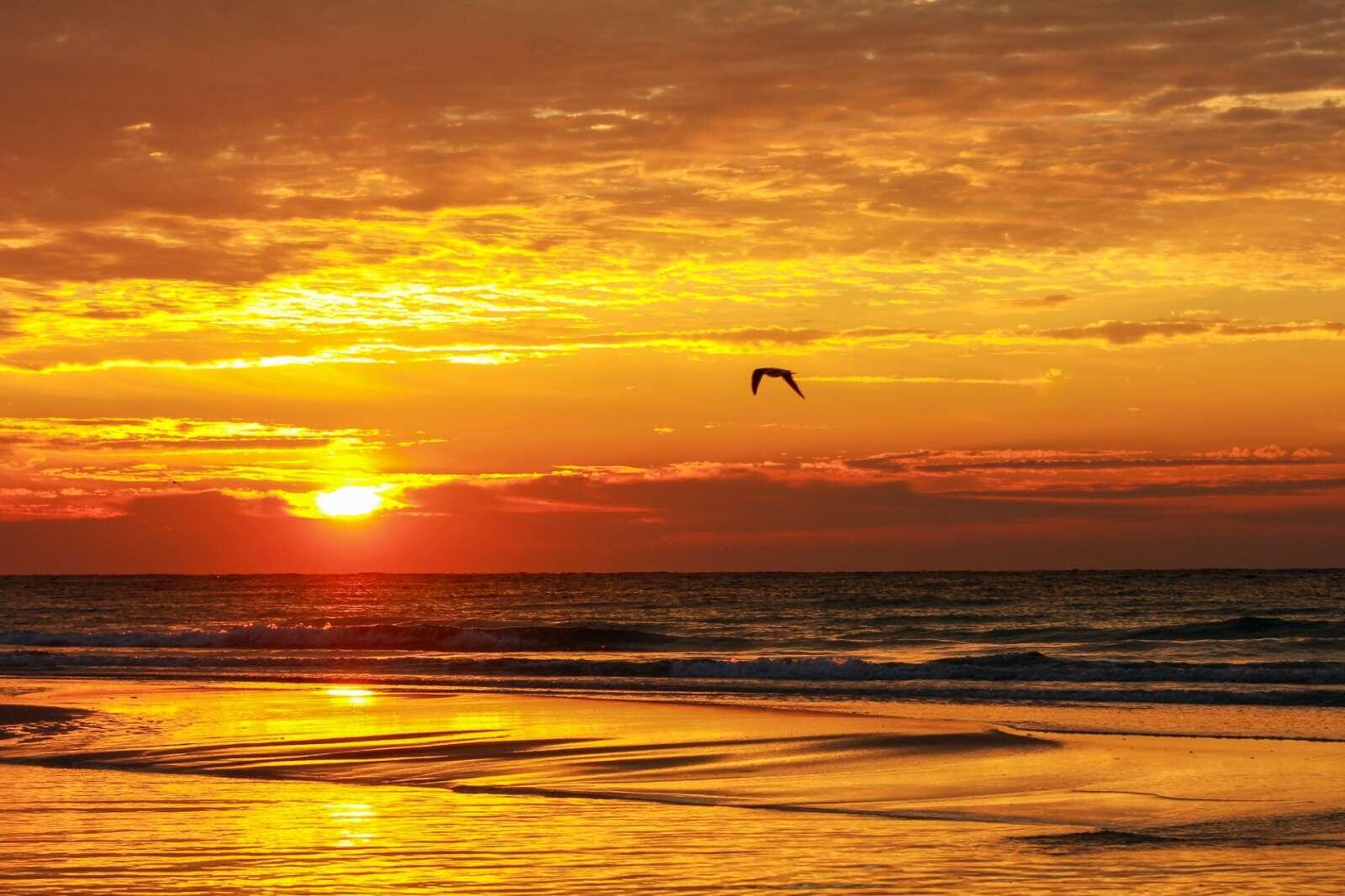 The Commodore - Residential