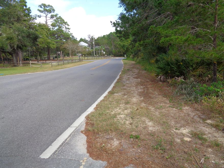 Nice wooded lot, south of Scenic Route 30-A, with nearby beach access, no HOA, no build-out time.  Eastern Lake boat/kayak launch across street, easy access to 30-A's bike path, close to great restaurants and shopping.  Parcel ID reflects 2 lots being sold separately.
***Buyer is responsible for personally verifying details about this property.  Any information contained in this listing is believed to be accurate but is not guaranteed.***