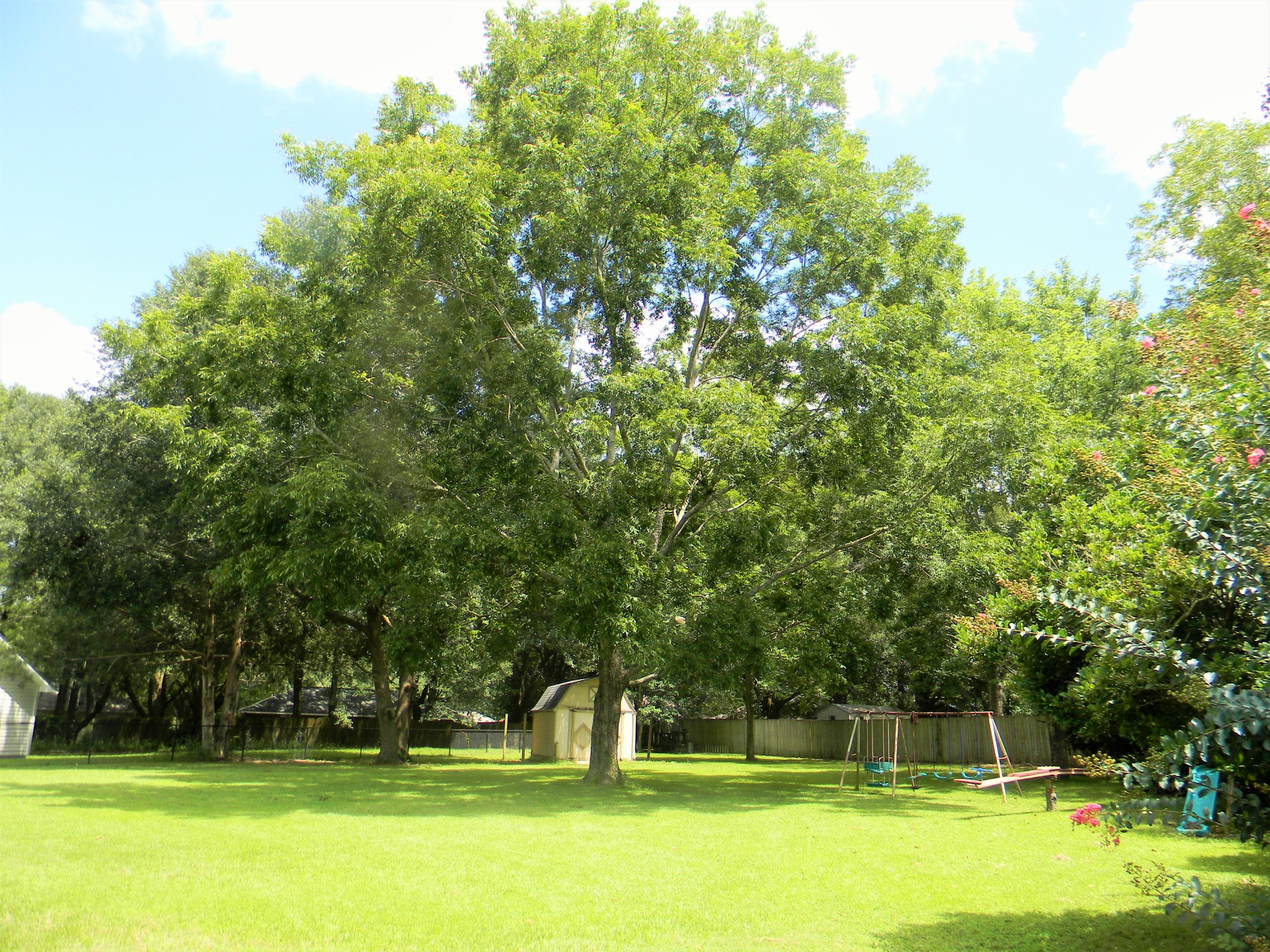 STAFFORD ESTATES - Residential