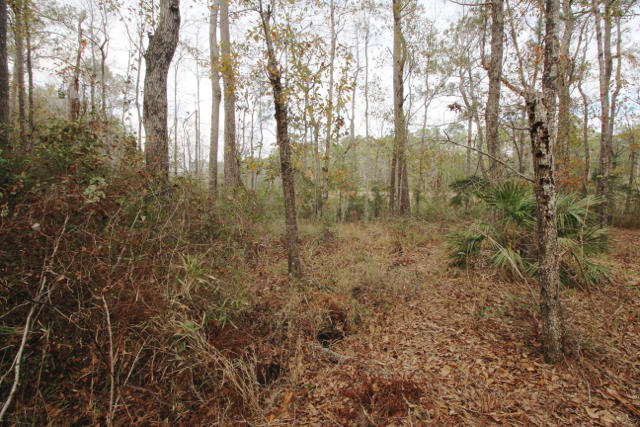 CROSS CREEK SHORES - Land