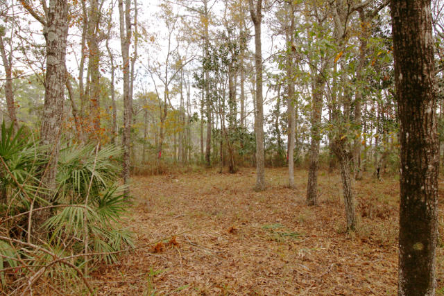 CROSS CREEK SHORES - Land