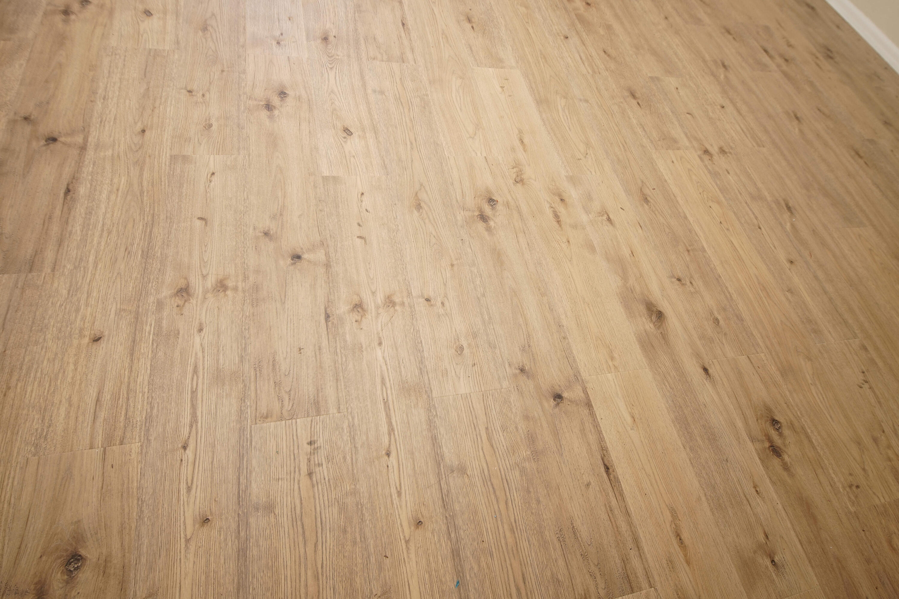 BRYN MAWR PARK - Residential Lease