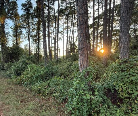 Photo of 8302 Montalban Street, Navarre, FL 32566 (MLS # 988339)
