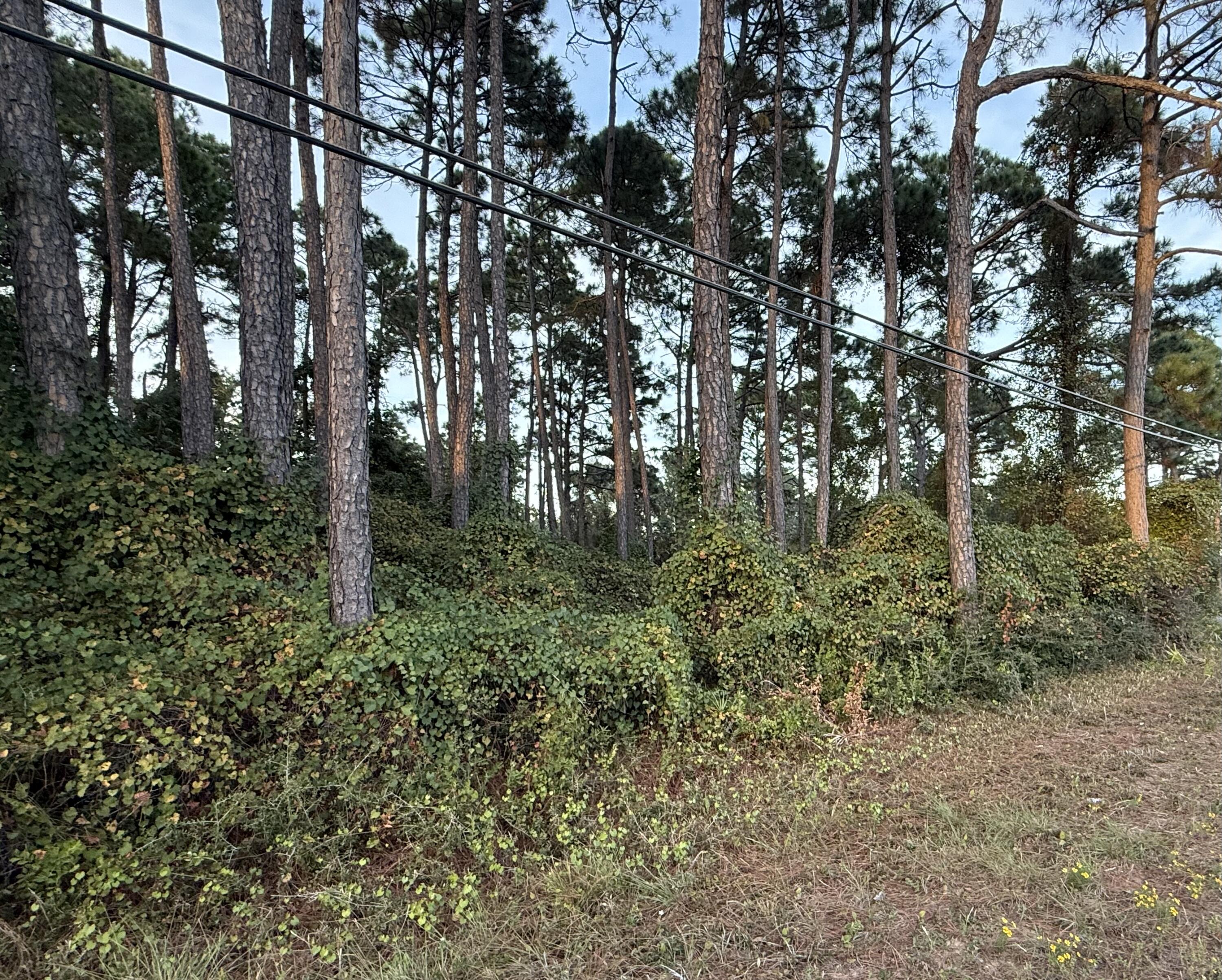 NONESUCH WAY - Land