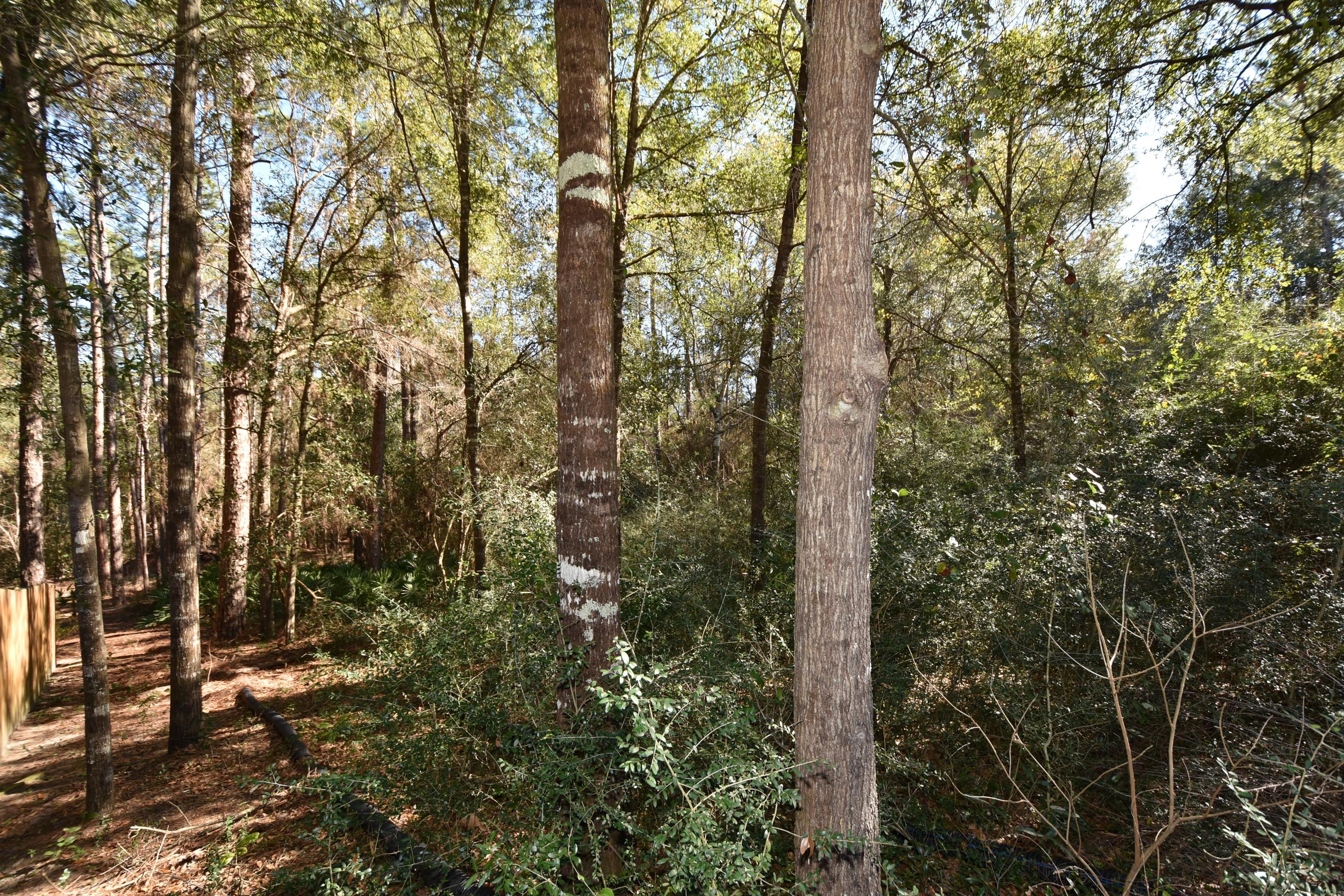 CORONADO VILLAGE PH 4 - Residential