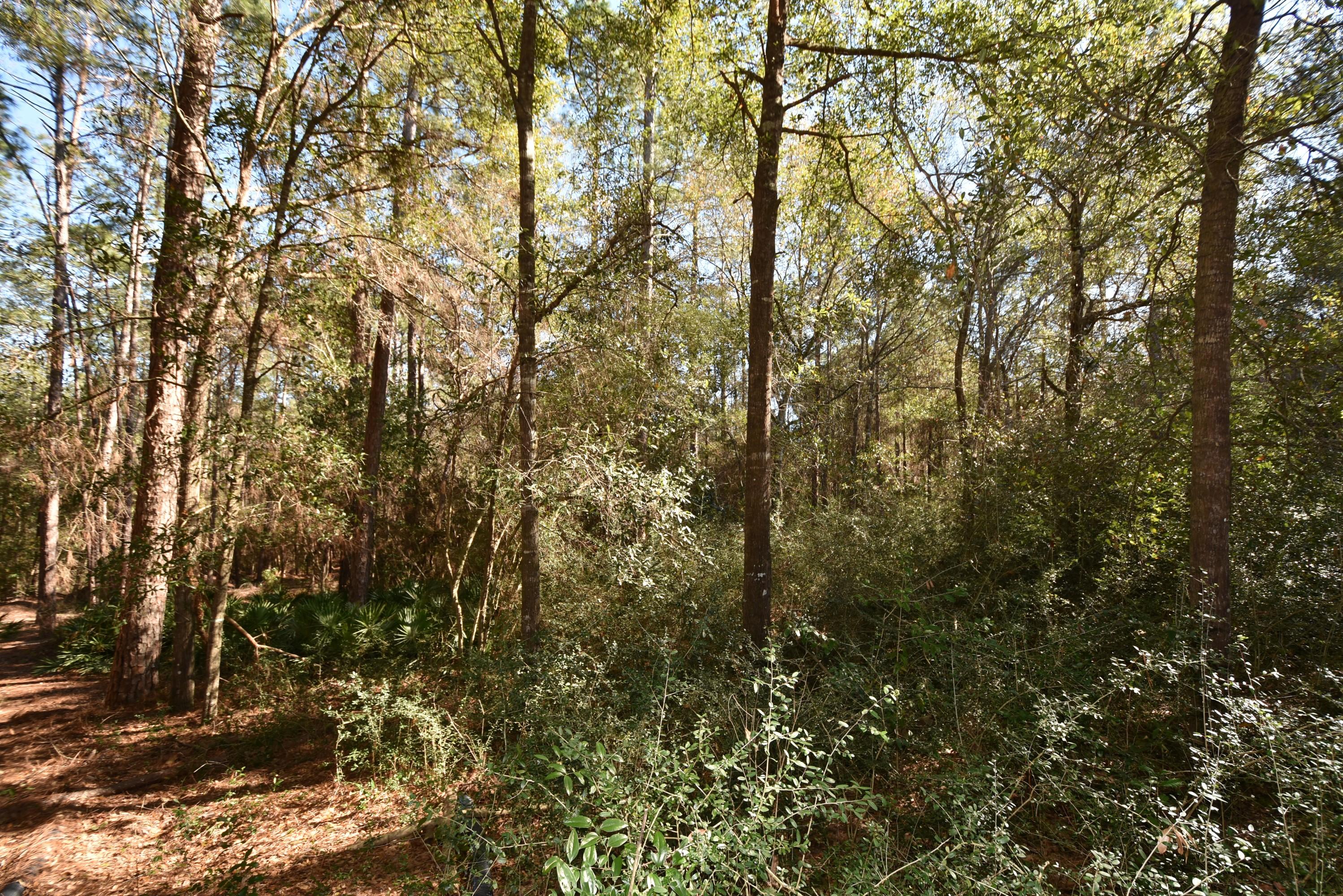 CORONADO VILLAGE PH 4 - Residential