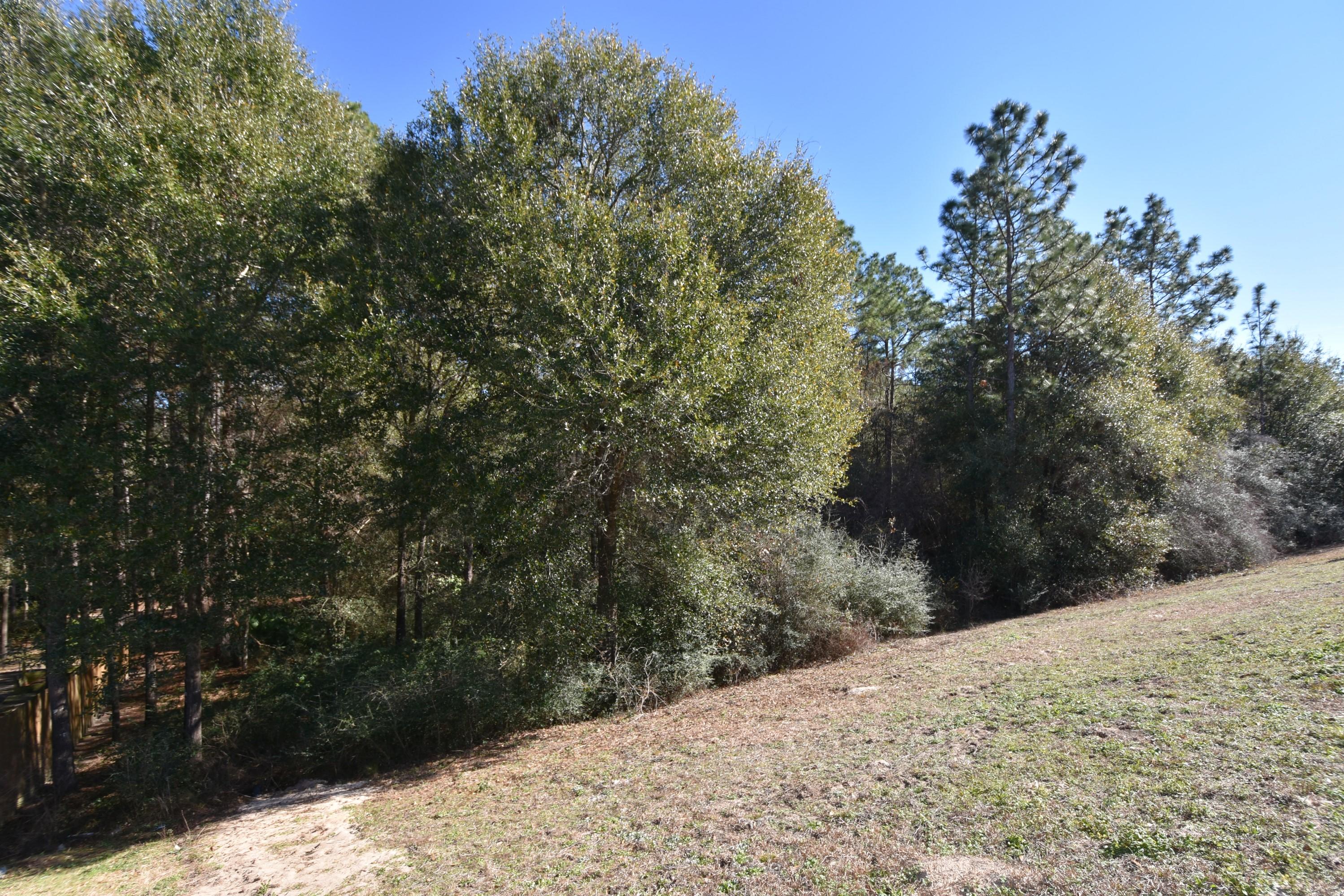 CORONADO VILLAGE PH 4 - Residential