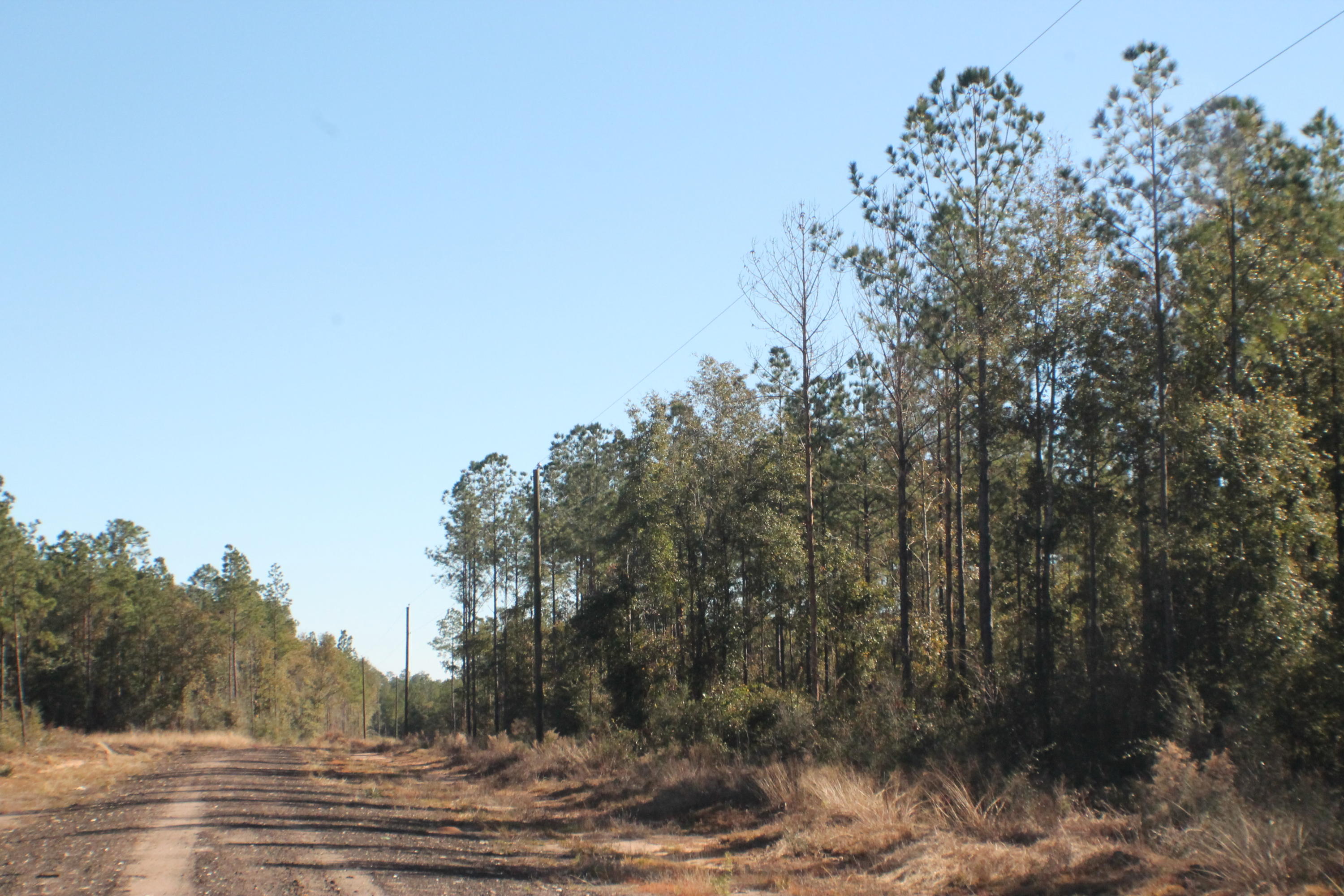 MILLERS BLUFF - Land