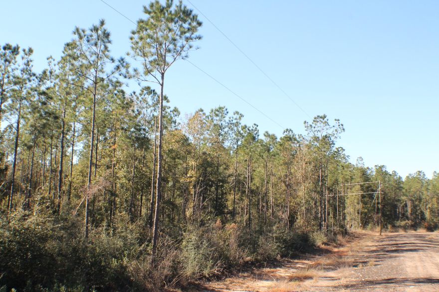 Wooded Acreage near Bases, town and shopping. Elbow room to build all your dreams! Growing area just north of Milton and south of Allentown with lots of large lot new brick homes in the area. Gravel road power in place! Bring your House and Barn plans today!