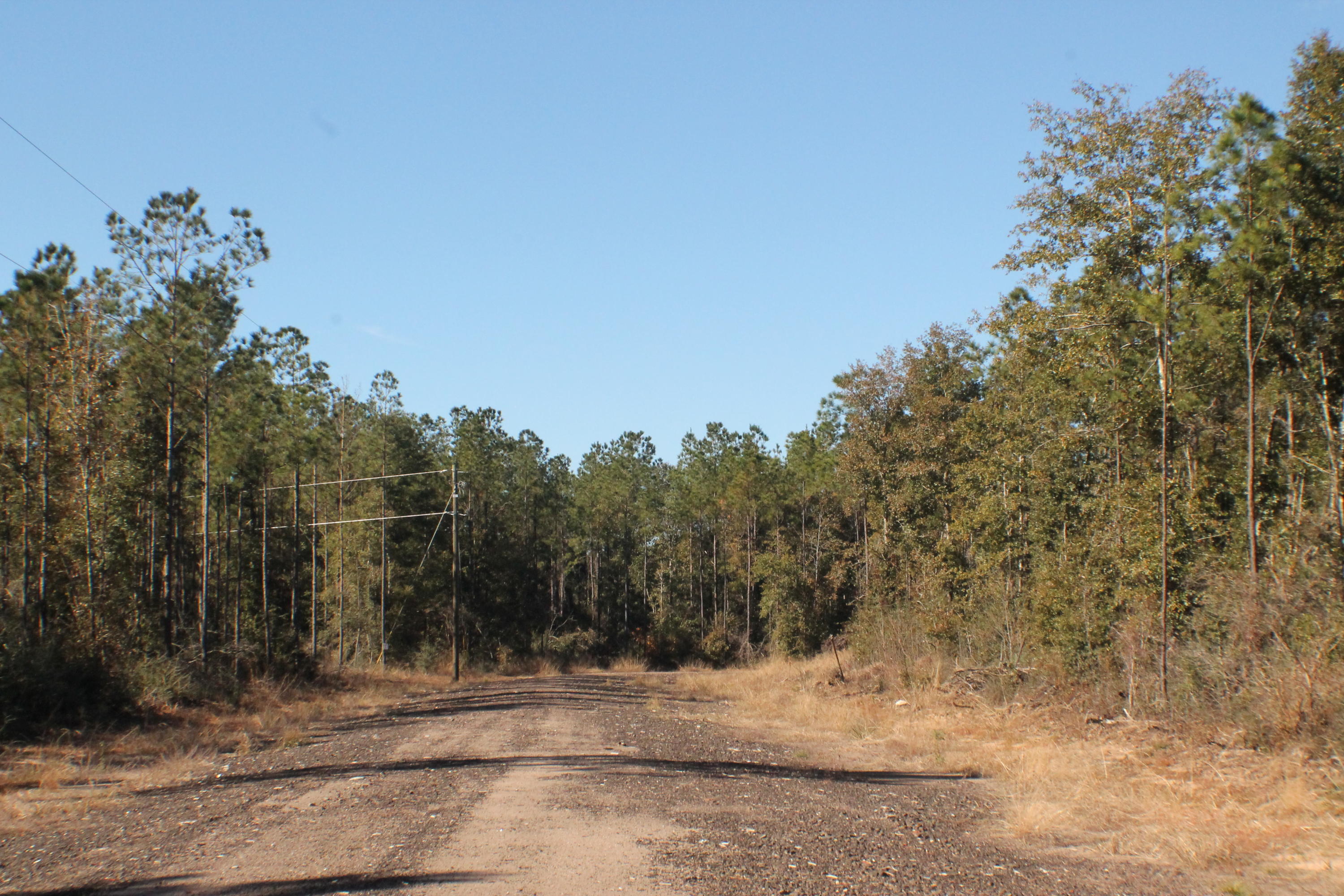 MILLERS BLUFF - Land