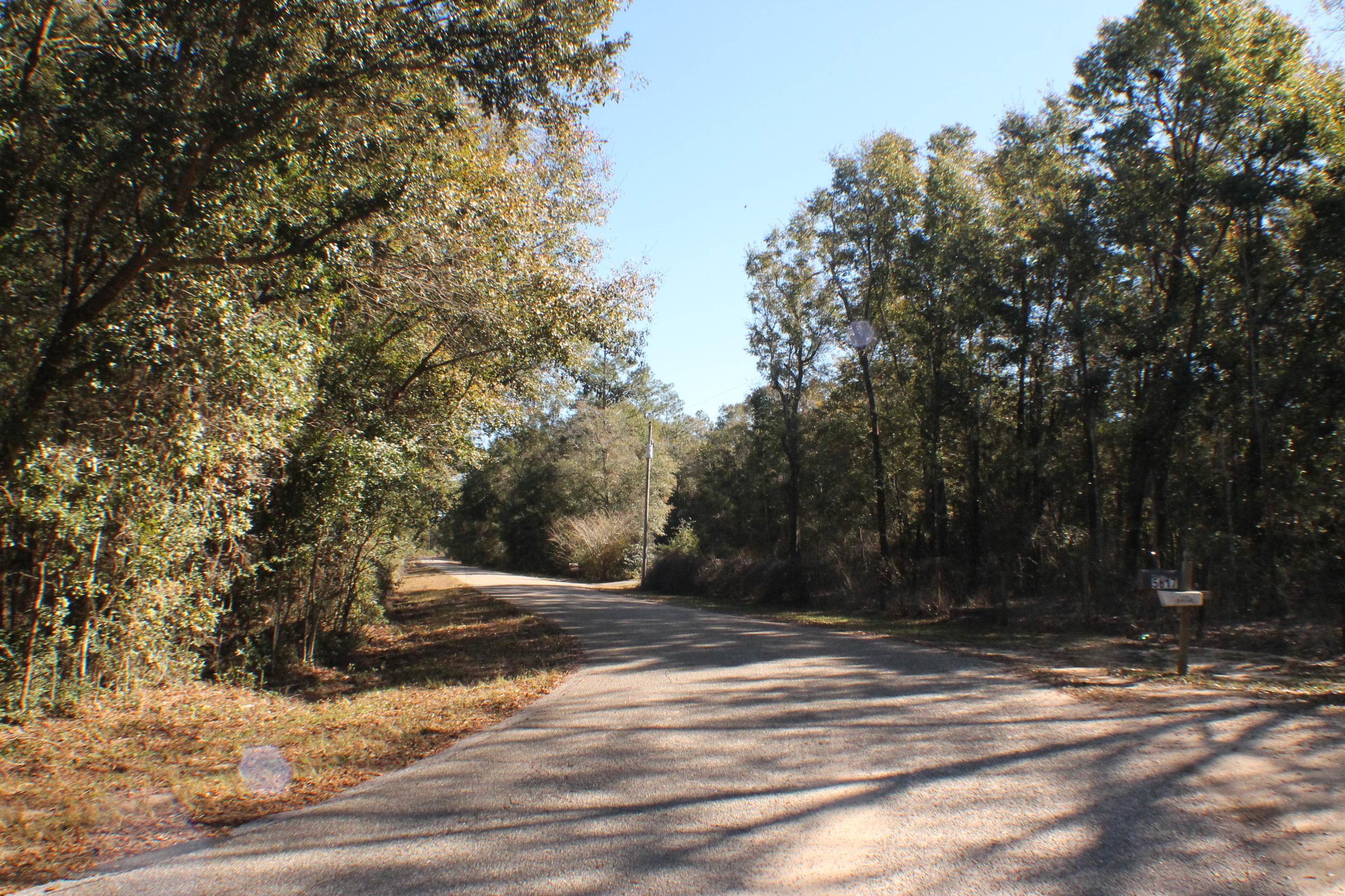 MILLERS BLUFF - Land