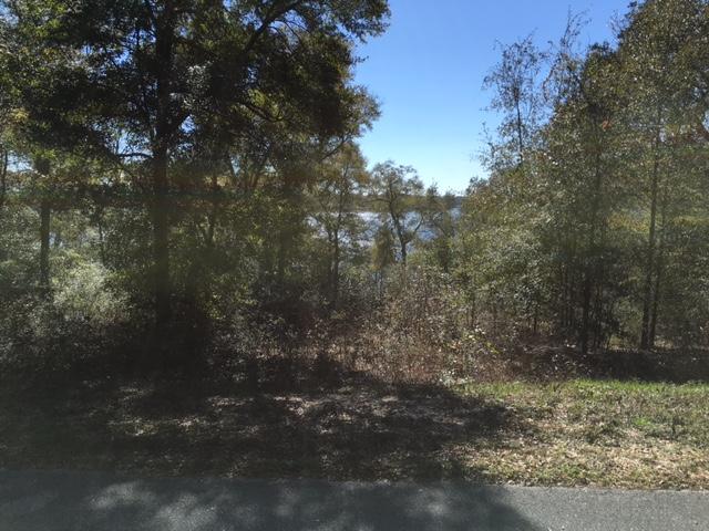 This charming 1.1 acre lot has beautiful, established oak and magnolia trees. It is located on a paved road in a very quiet and peaceful area along Lake Juniper. The lake views from the front of the lot are spectacular. For the boating and fishing enthusiasts, there is a boat ramp and dock within walking distance. Electric in the area, no power box or pole. No water. Tap on fee is about $1700 as of 2014.Taxes are about $95.00/year