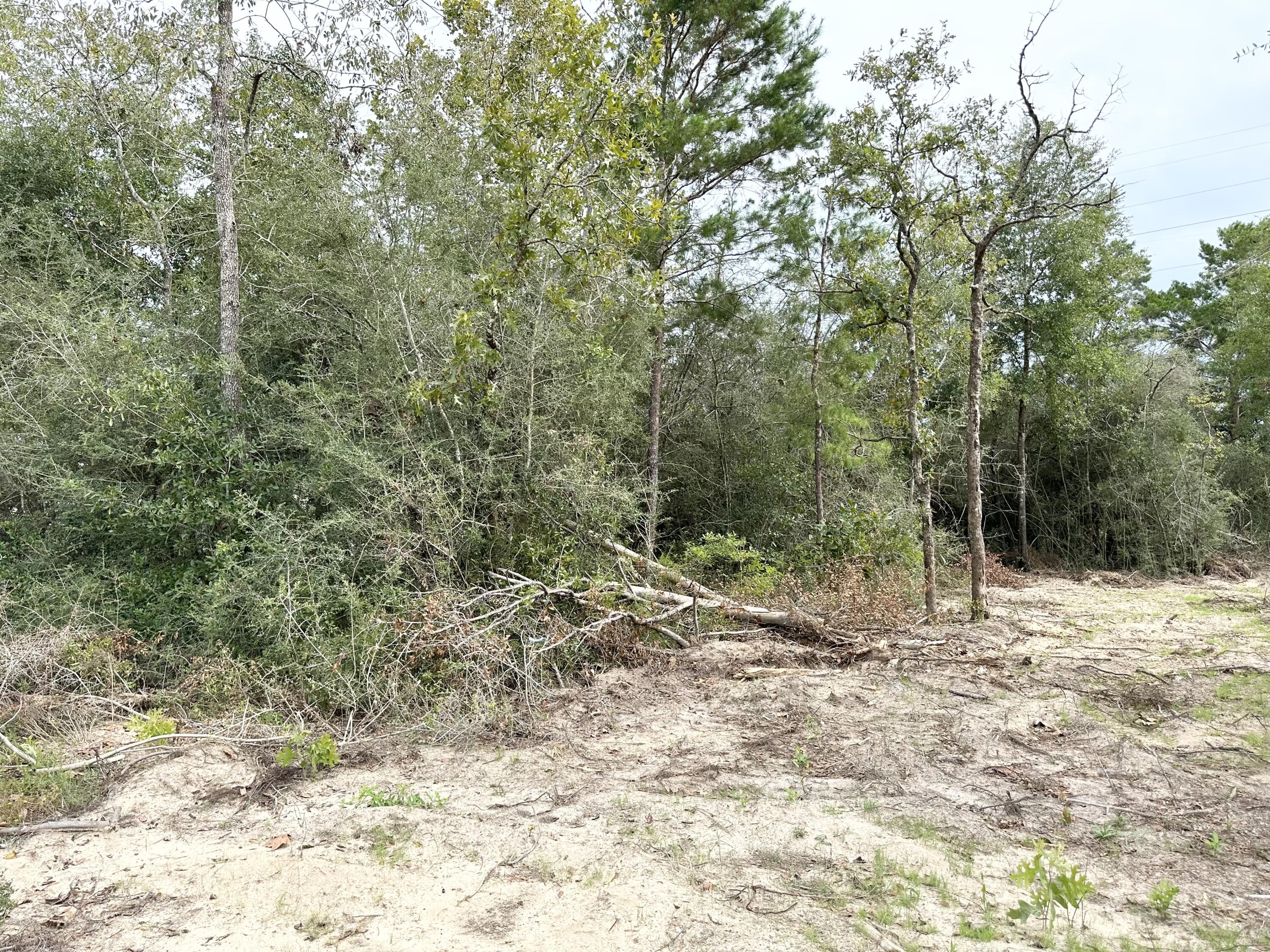 OAKWOOD HILLS UNIT 3 - Land