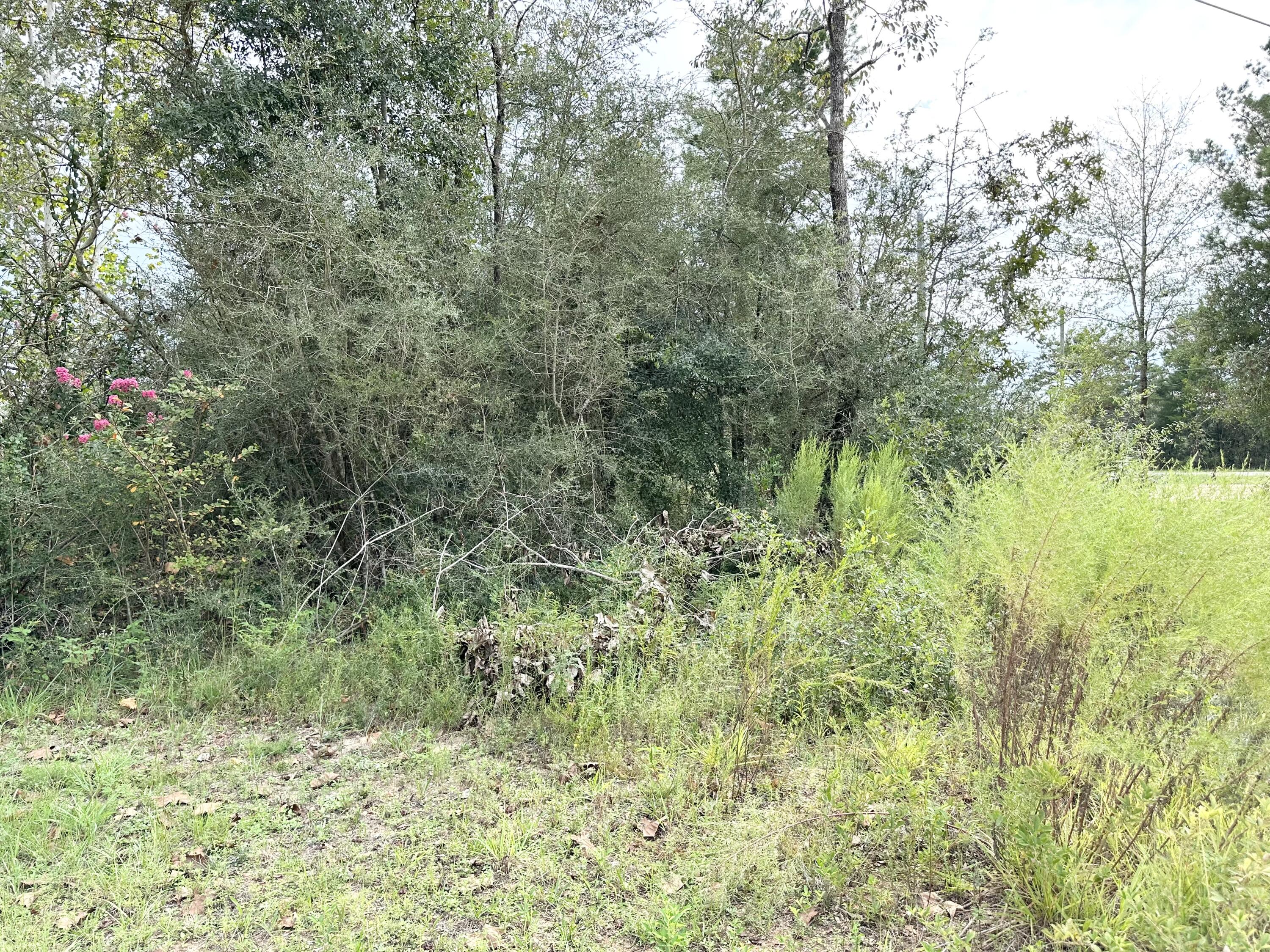 OAKWOOD HILLS UNIT 3 - Land