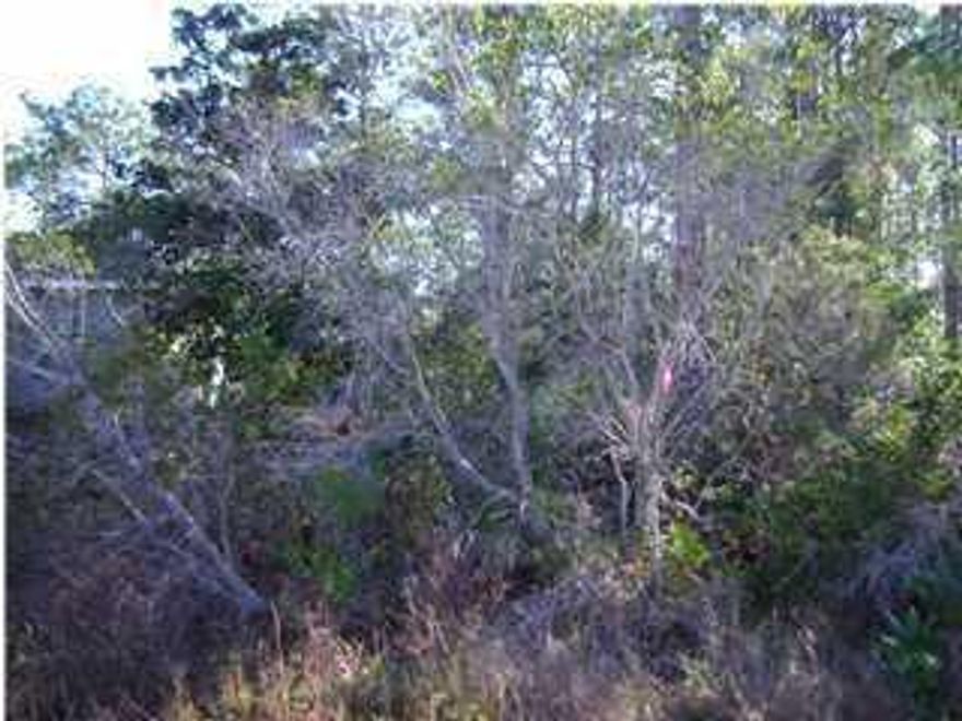 Location,location-This lot puts you just minutes away from Silver Sands Outlet-Publix Grocery-Scared Heart Hospital-white sand beaches and the finest restaurants in the south.