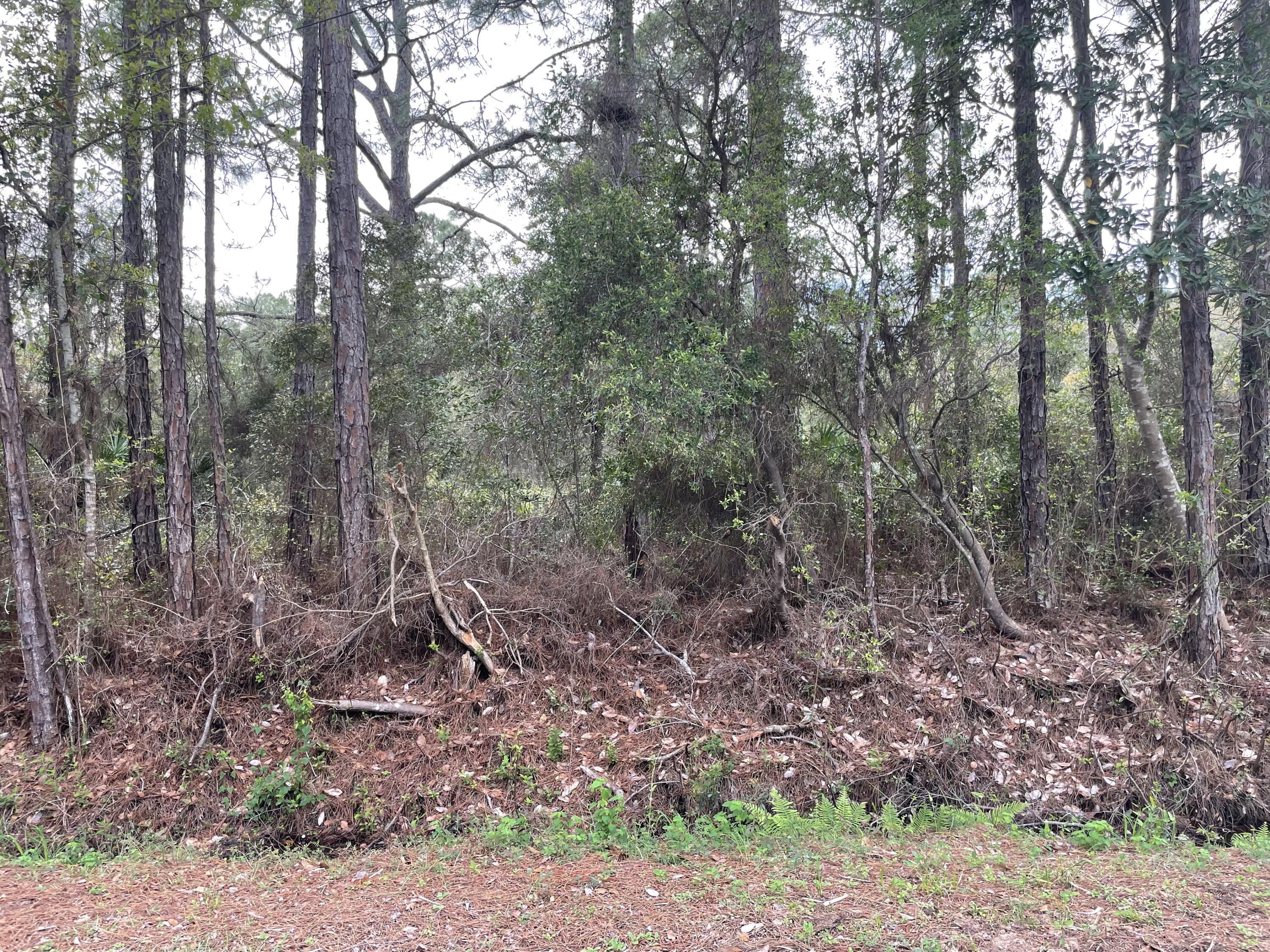 FLORIDALE BEACH - Land