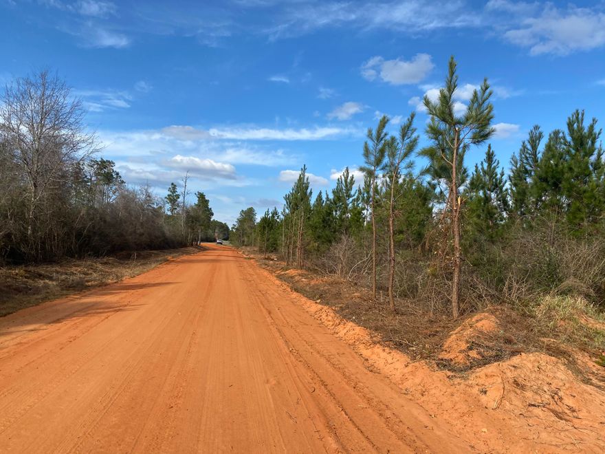 7+/- acres of nature for your hunting or your home! Beautiful timberland with highway access. Schools: Central for Elementary, Central High School for both Middle and High schoolers.Access by appointment only.