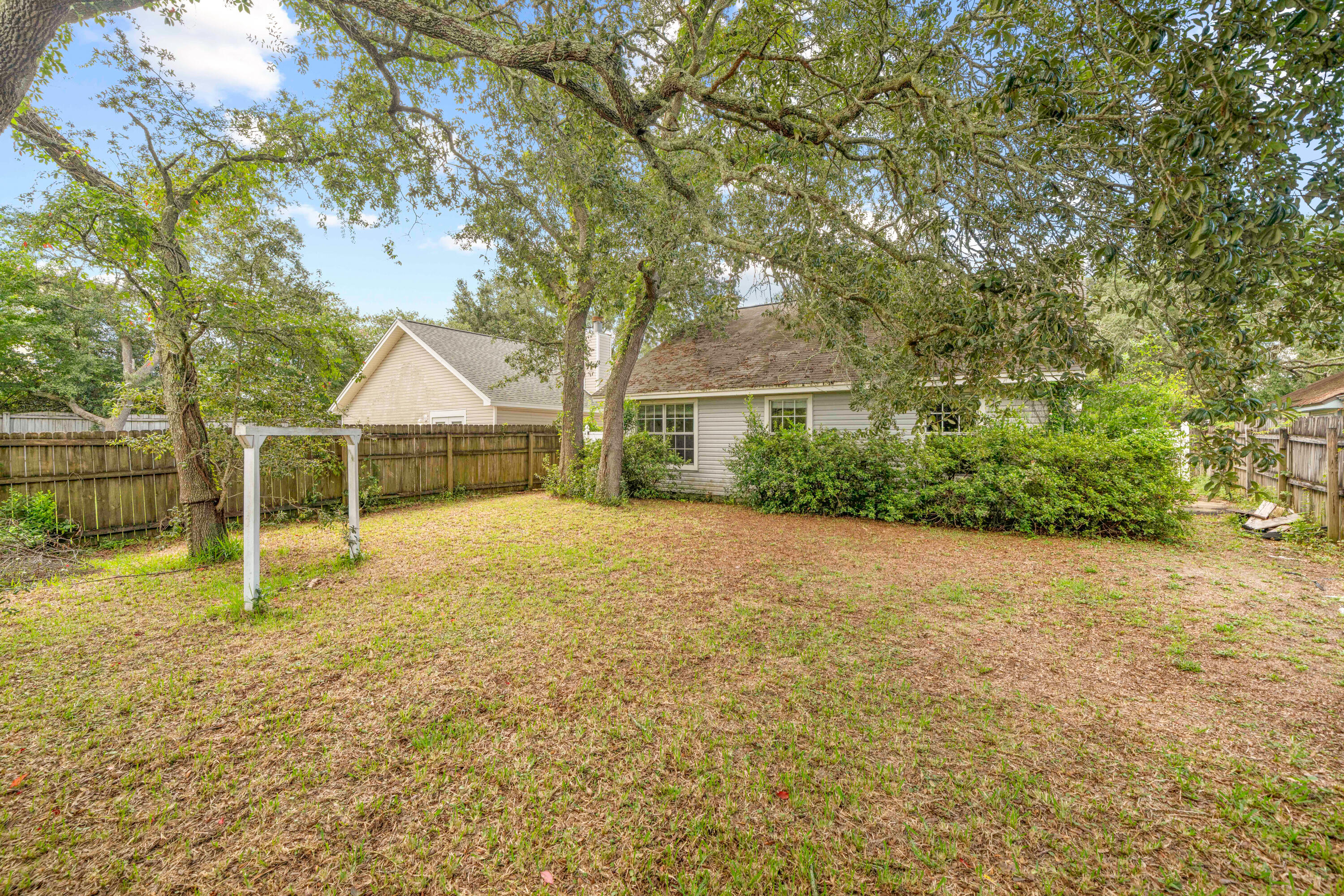 SUMMER TREE - Residential