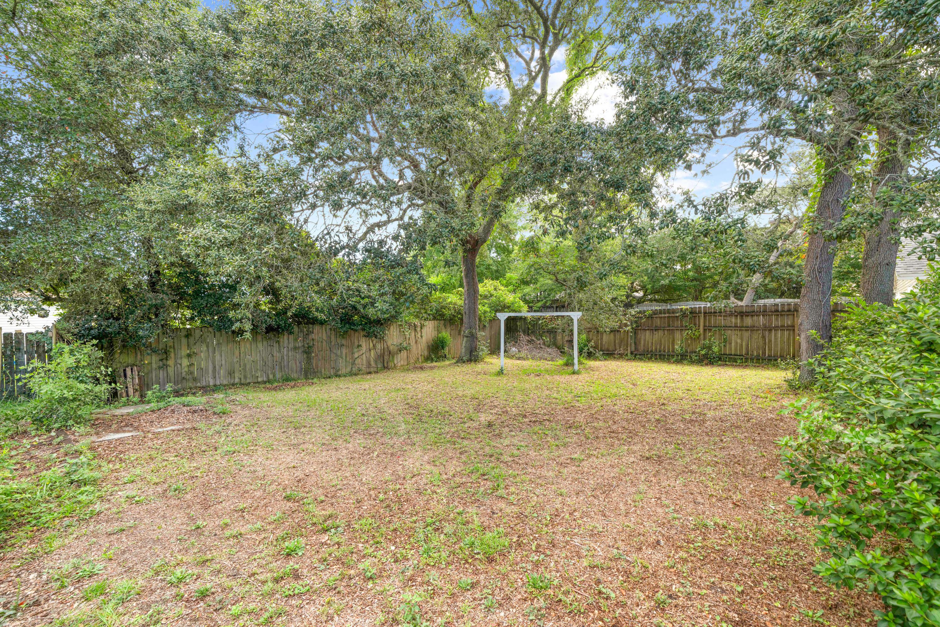 SUMMER TREE - Residential