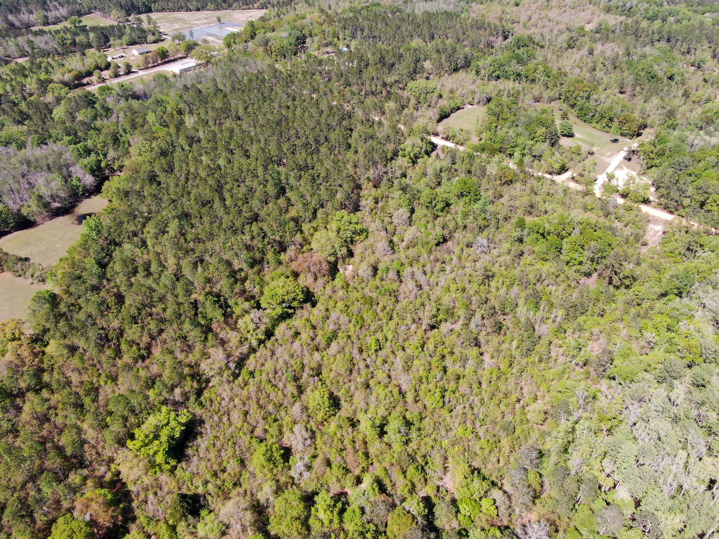 NO RECORDED SUBDIVISION - Land