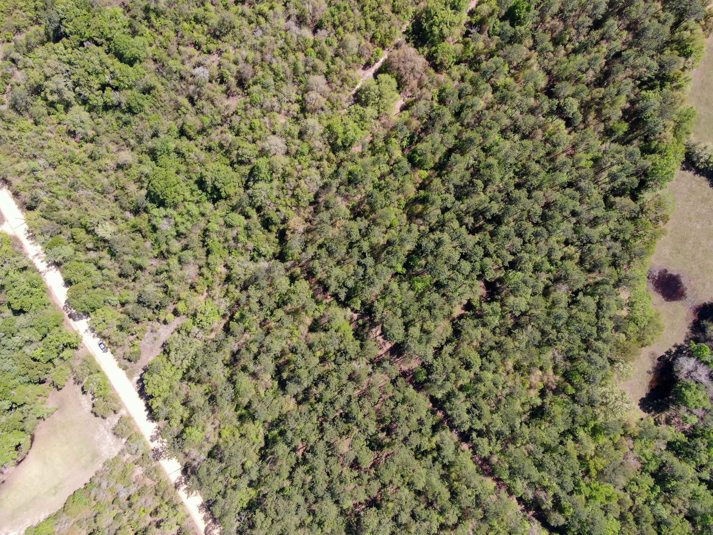 NO RECORDED SUBDIVISION - Land