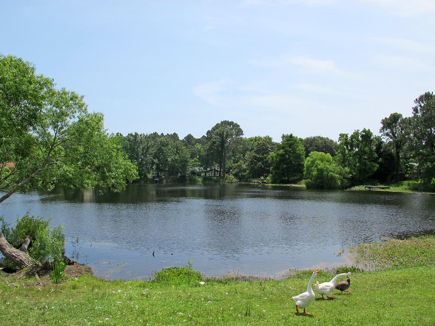 CASA LOMA S/D - Residential