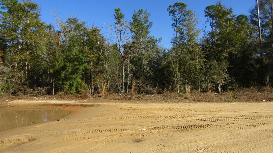 Level lot to build your home. There are two lots available side by side if you need more land. Each lot is $12,000.   There are nice trees on the property.  The subdivision has lots of vacant land and lots of homes already. Quiet neighborhood, good location between Crestview and Defuniak Springs. Take a look, mobile homes allowed.