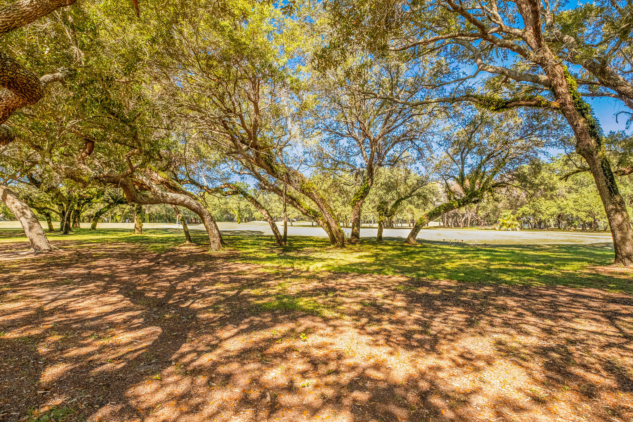 HIDDEN CREEK ESTATES AT HOLLEY BY THE SEA - Residential