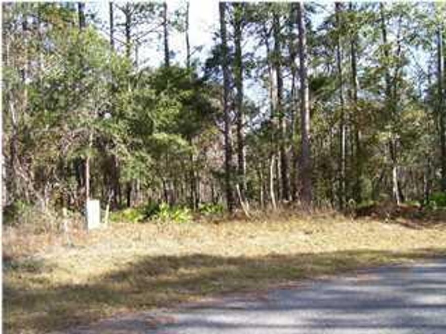 Seller says bring all offers. EZ show, beautiful lot located in rapidly growing Freeport area. COVENANTS AND RESTRICTIONS, SELLER IS A LICENSED REAL ESTATE AGENT.