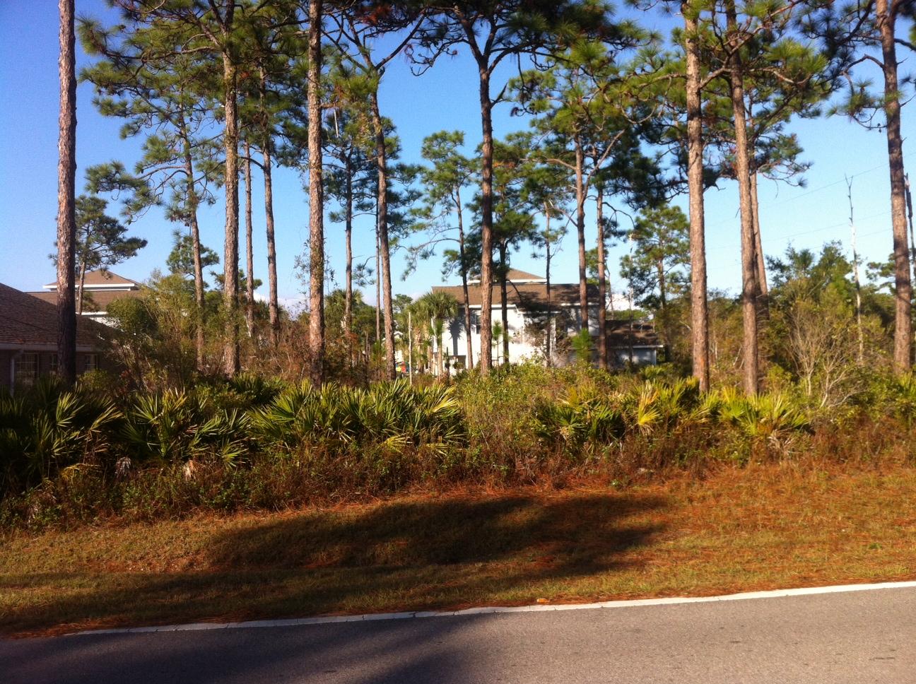 BAYOU PINES UNREC 1ST ADDN - Land