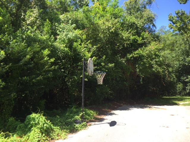 Great building lot in the heart of Niceville at the end of a quiet street. This unique lot can be accessed from 26th St as well as Bullock Blvd where there are brand NEW homes being built! Don't miss this opportunity to secure this lot for your future home!