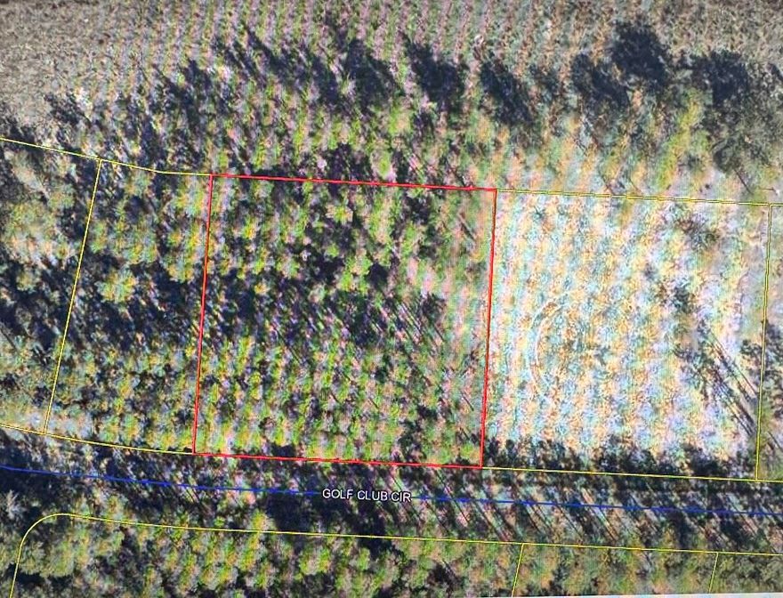 Entered for Comp Purposes