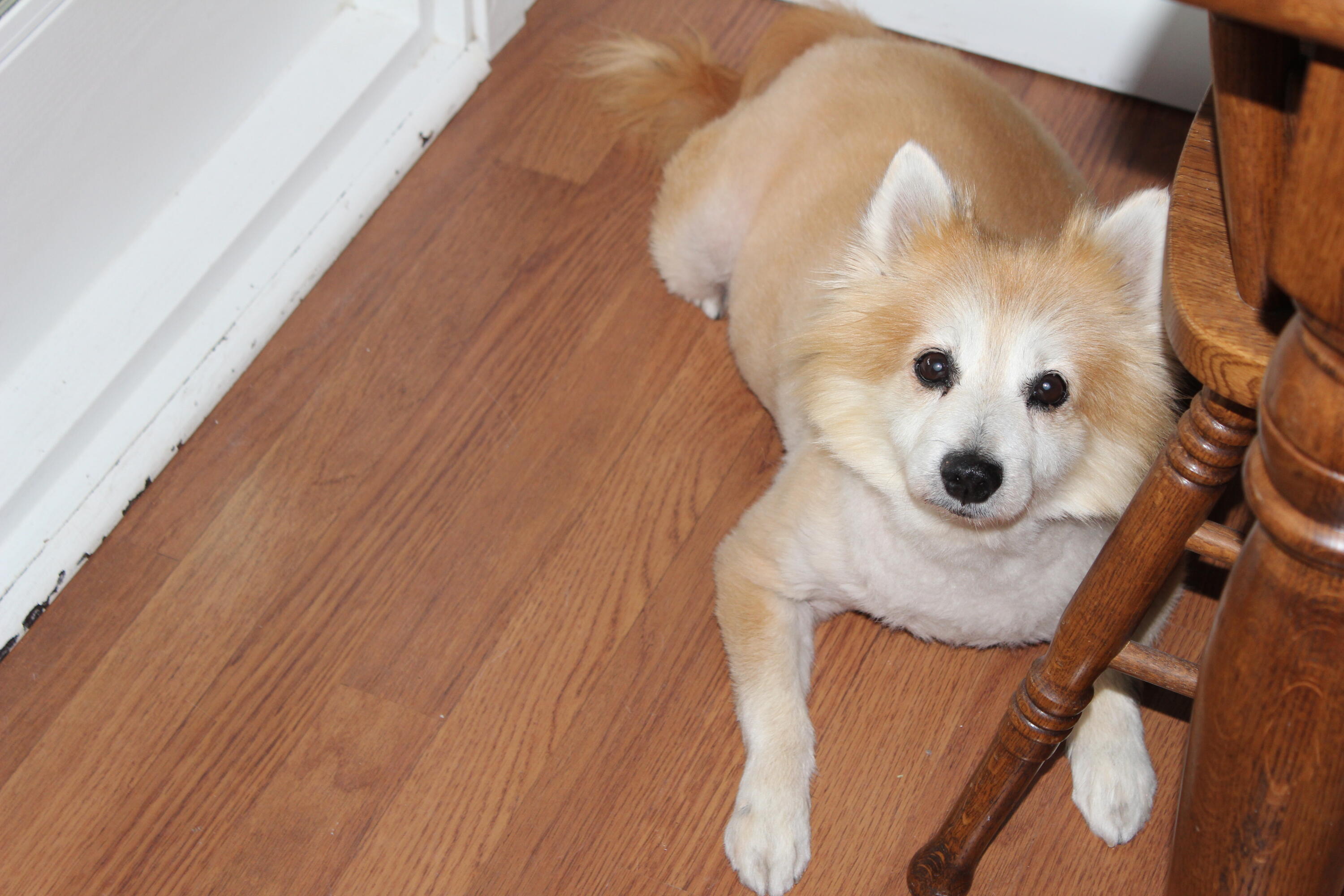 KELLYS 3RD ADDN TO DESTIN - Residential