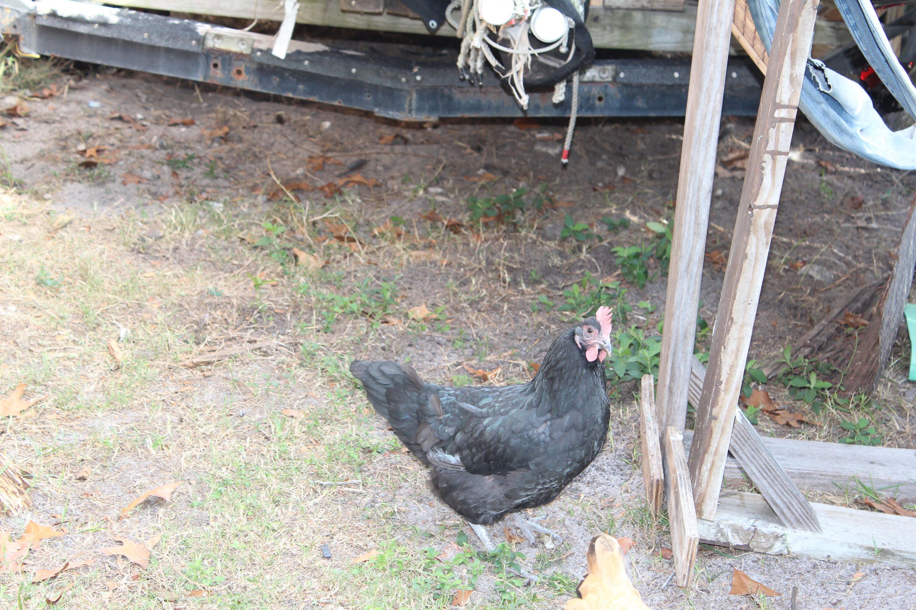 KELLYS 3RD ADDN TO DESTIN - Residential