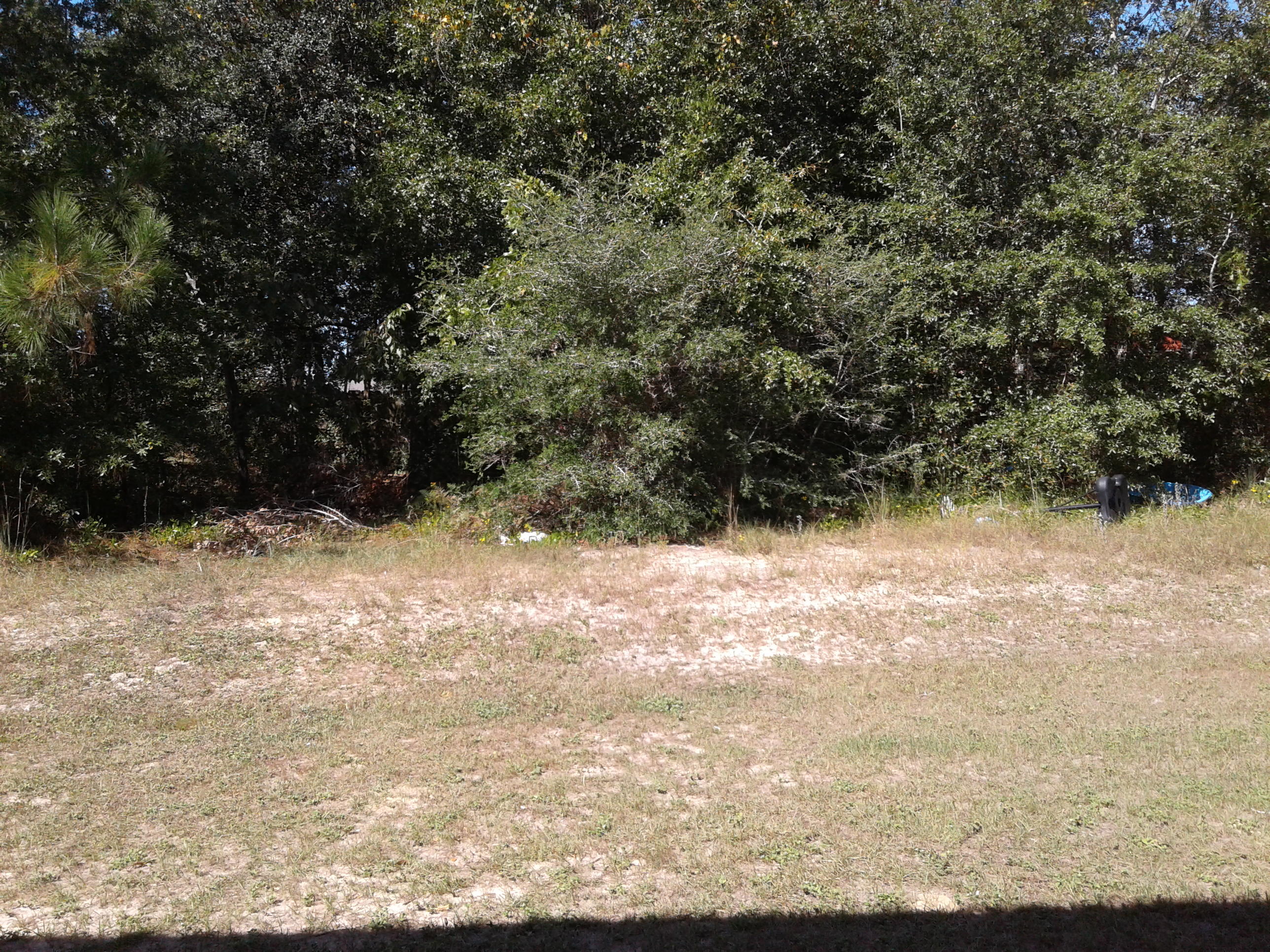 ROLLING PINES - Residential Lease