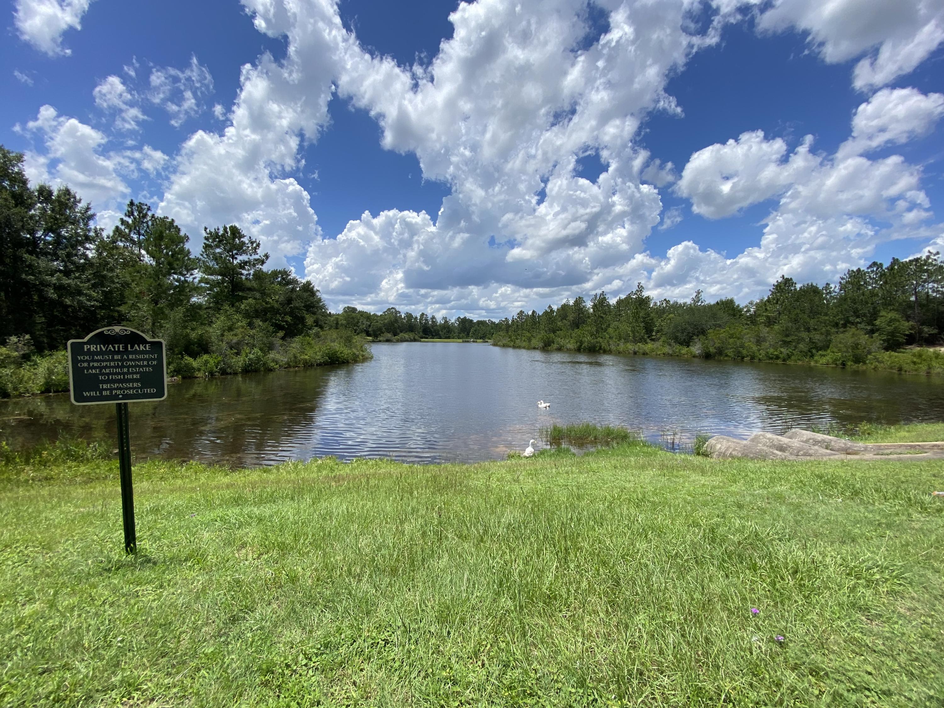 LAKE ARTHUR ESTATES PH II - Residential