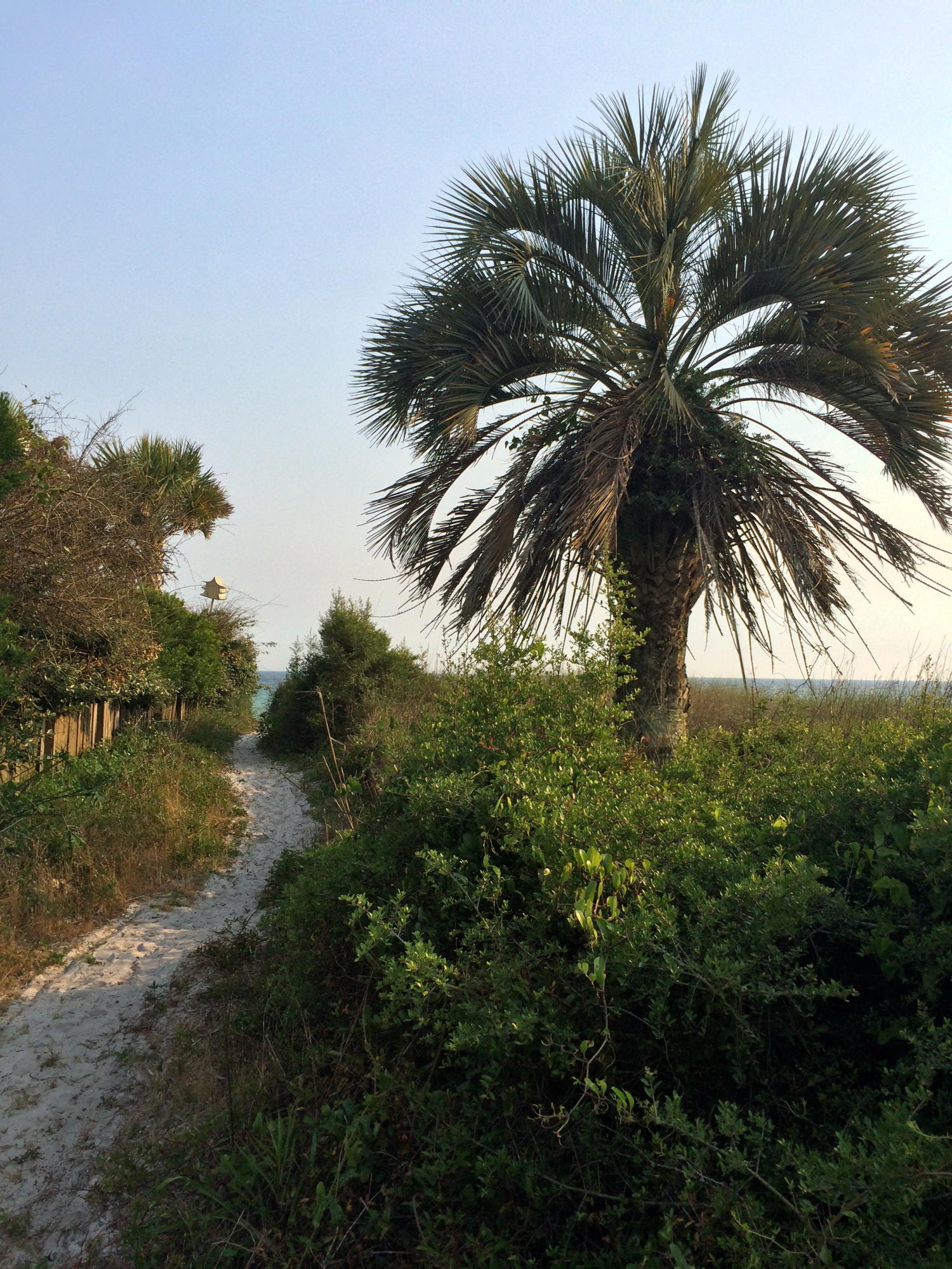 BEACH HIGHLANDS - Land