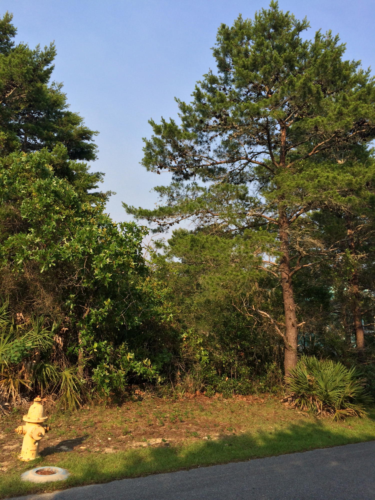 BEACH HIGHLANDS - Land