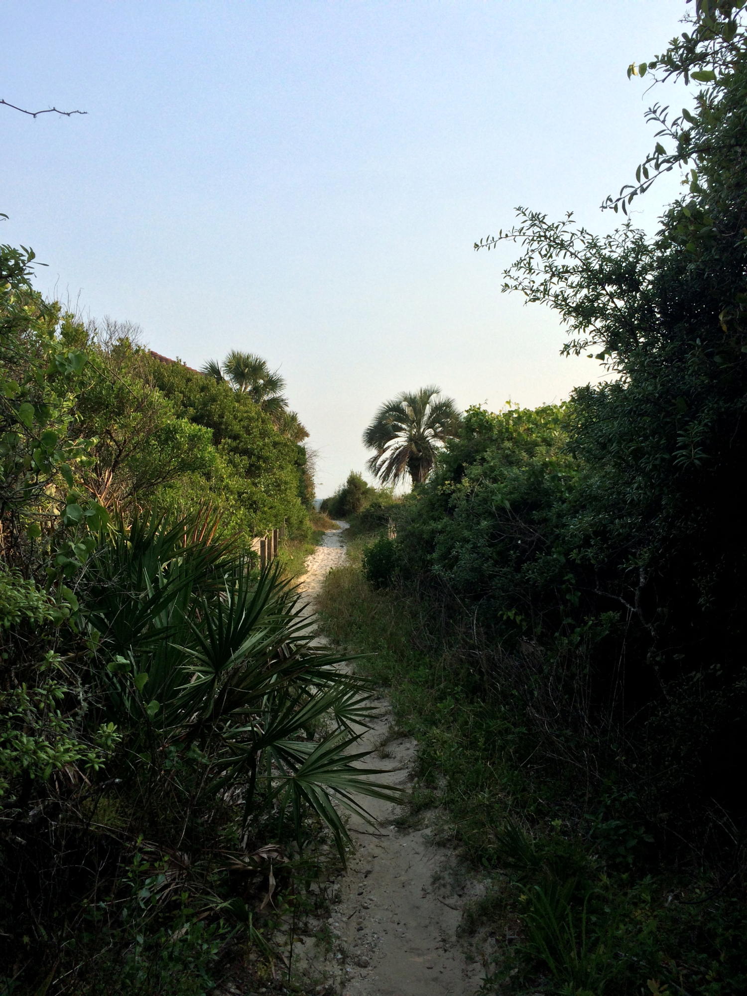 BEACH HIGHLANDS - Land