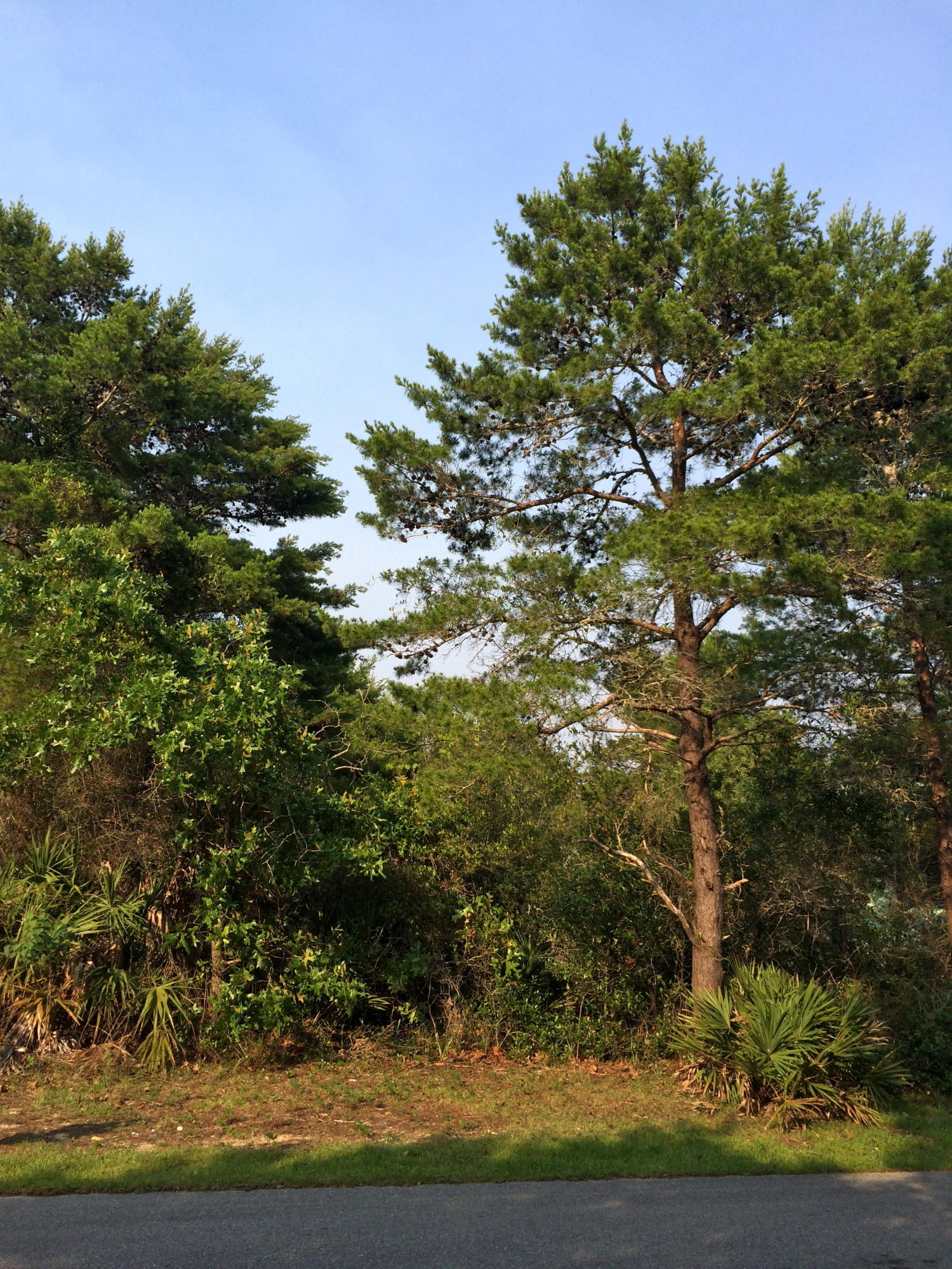 BEACH HIGHLANDS - Land