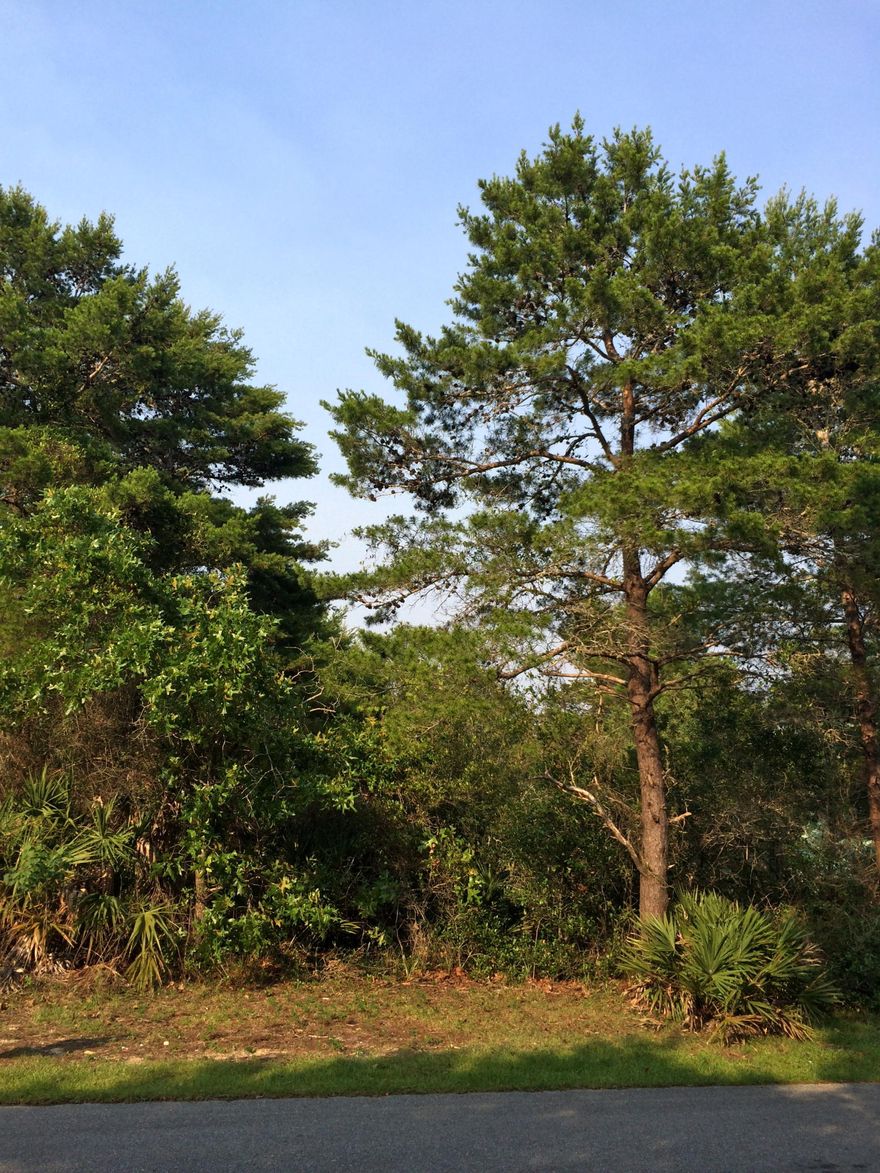 Beautiful wooded Beach Highlands homesite in Dune Allen. Southwest facing, .225 acre lot at the top of the hill. This lot is in a quiet location, but just a short half-mile walk or bike ride to the beach. Topsail Hill Preserve State Park is just 1.4 miles away and Stinky's Fish Camp restaurant is less than 1/3 mile away at the end of Hilltop Drive. If flexibility and privacy are what you are looking for, this large lot with no HOA fees and no build-out time restrictions may be just the answer. Look around the neighborhood and you will see why Crescent Road is where you to be.