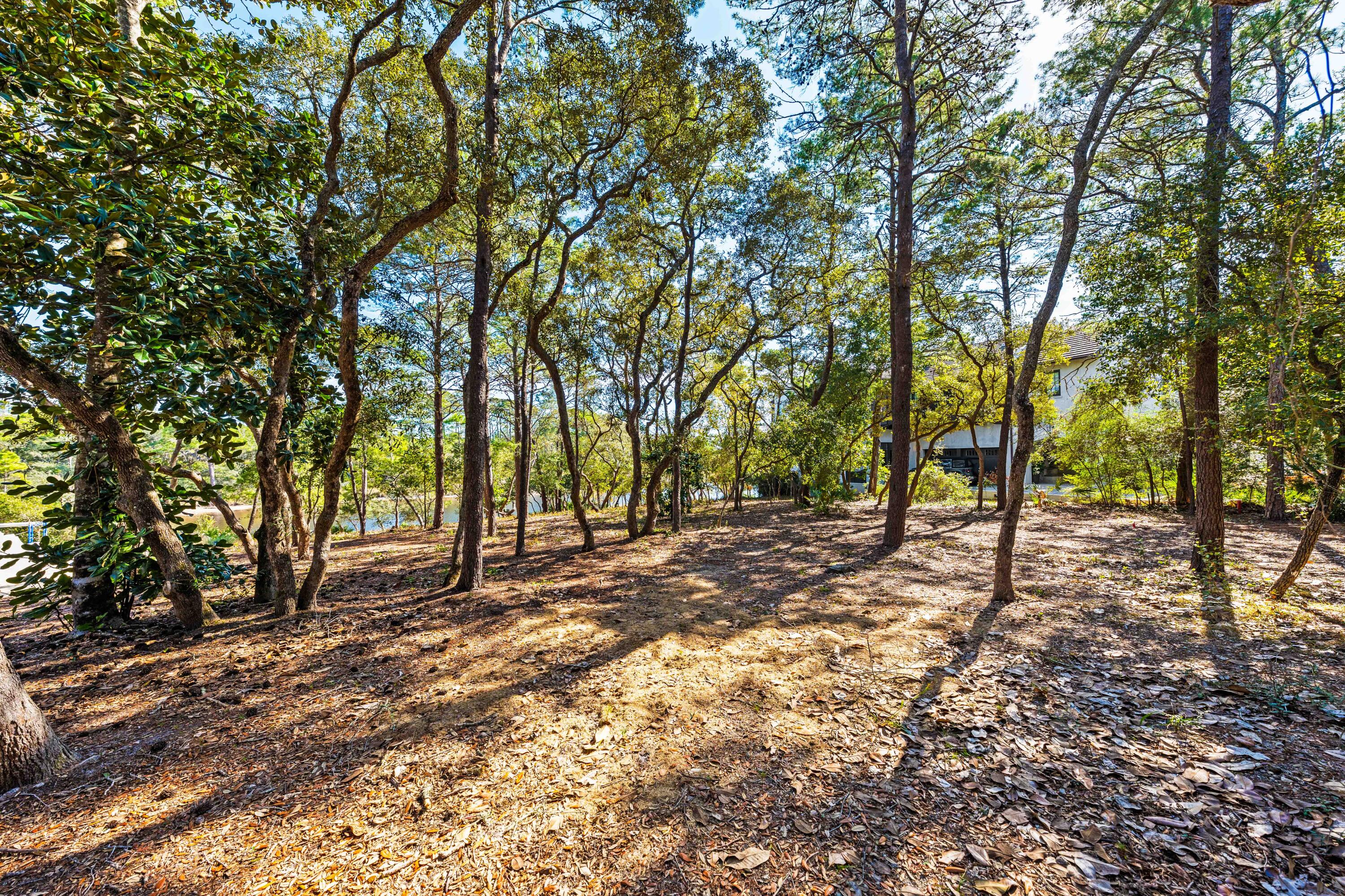REDFISH LANE - Land