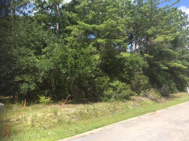 MAGNOLIA BAY ESTATES - Residential