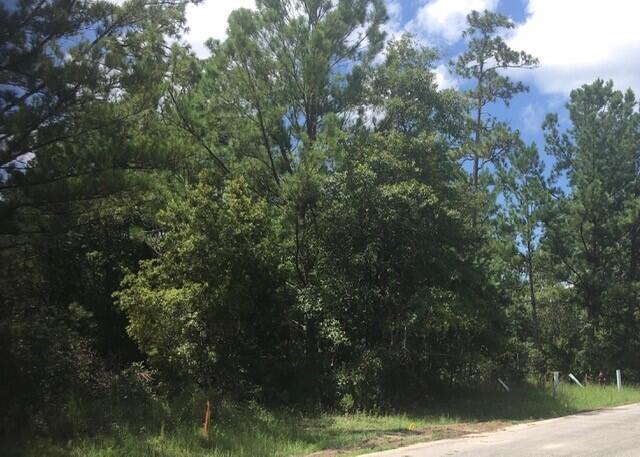 MAGNOLIA BAY ESTATES - Residential