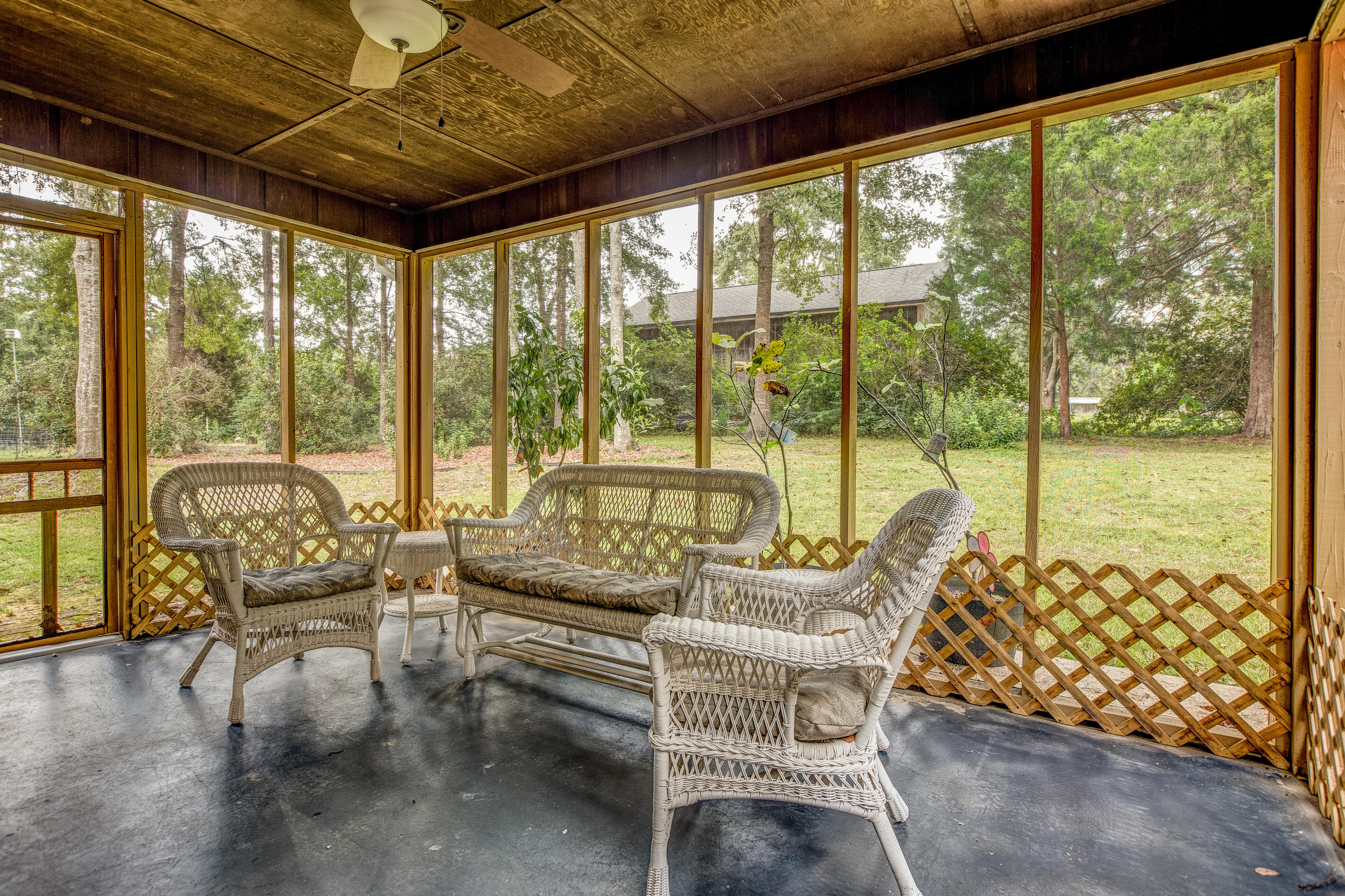 Pine forest manor - Residential