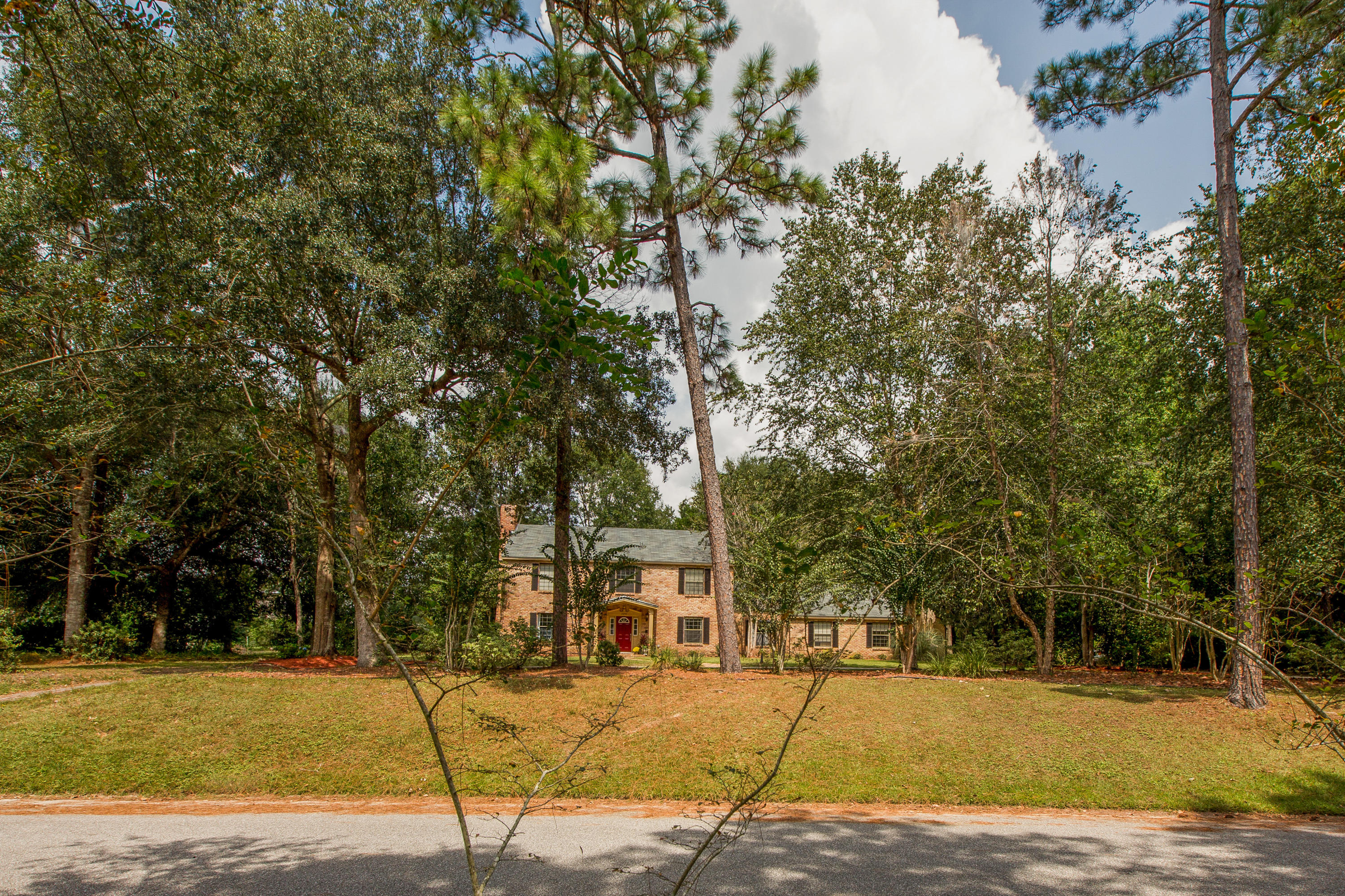 Pine forest manor - Residential