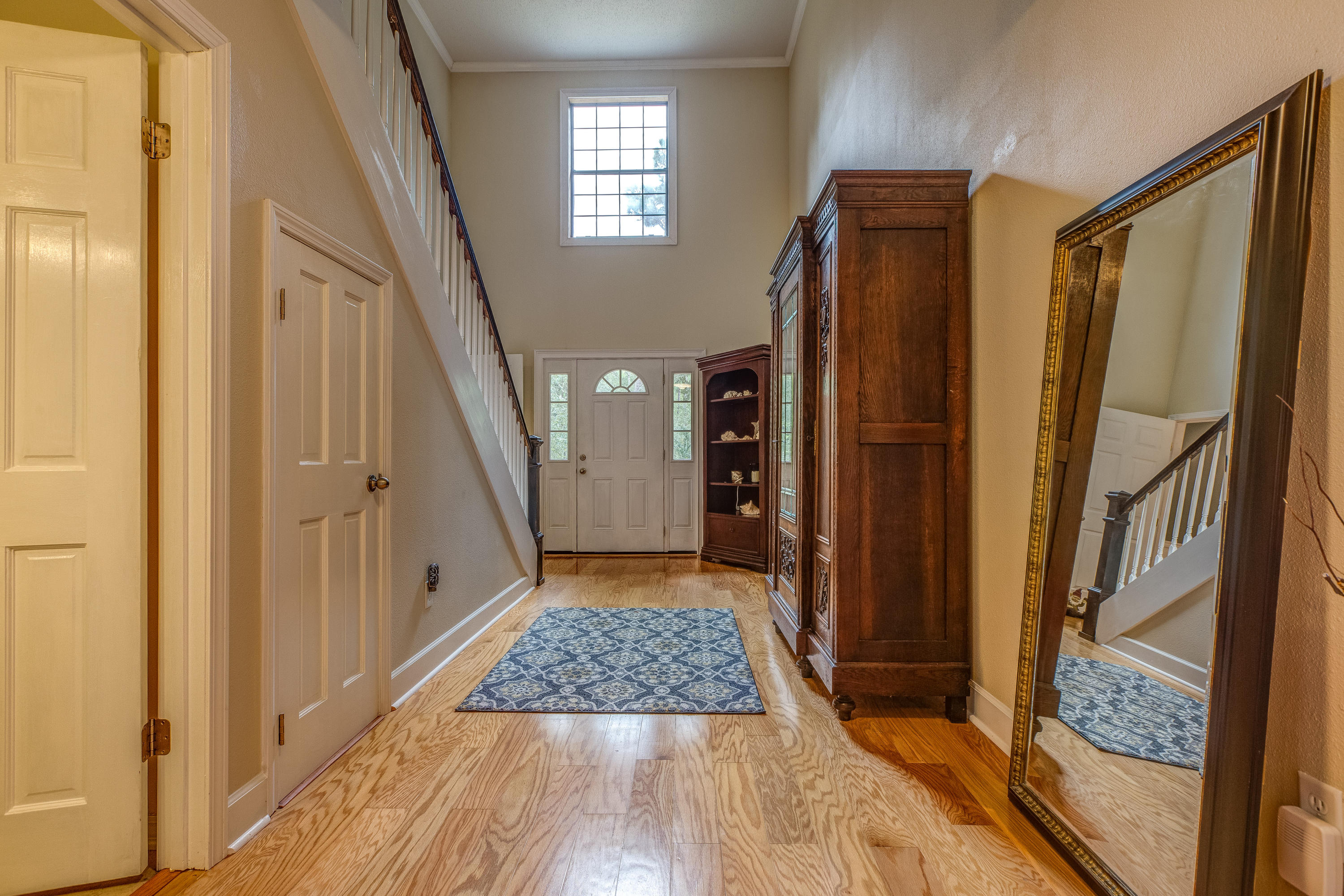 Pine forest manor - Residential